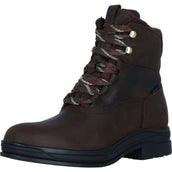 Ariat Stable Boots Harper Waterproof Women Chocolat/Willow