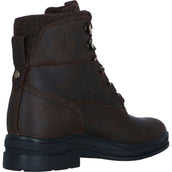 Ariat Stable Boots Harper Waterproof Women Chocolat/Willow