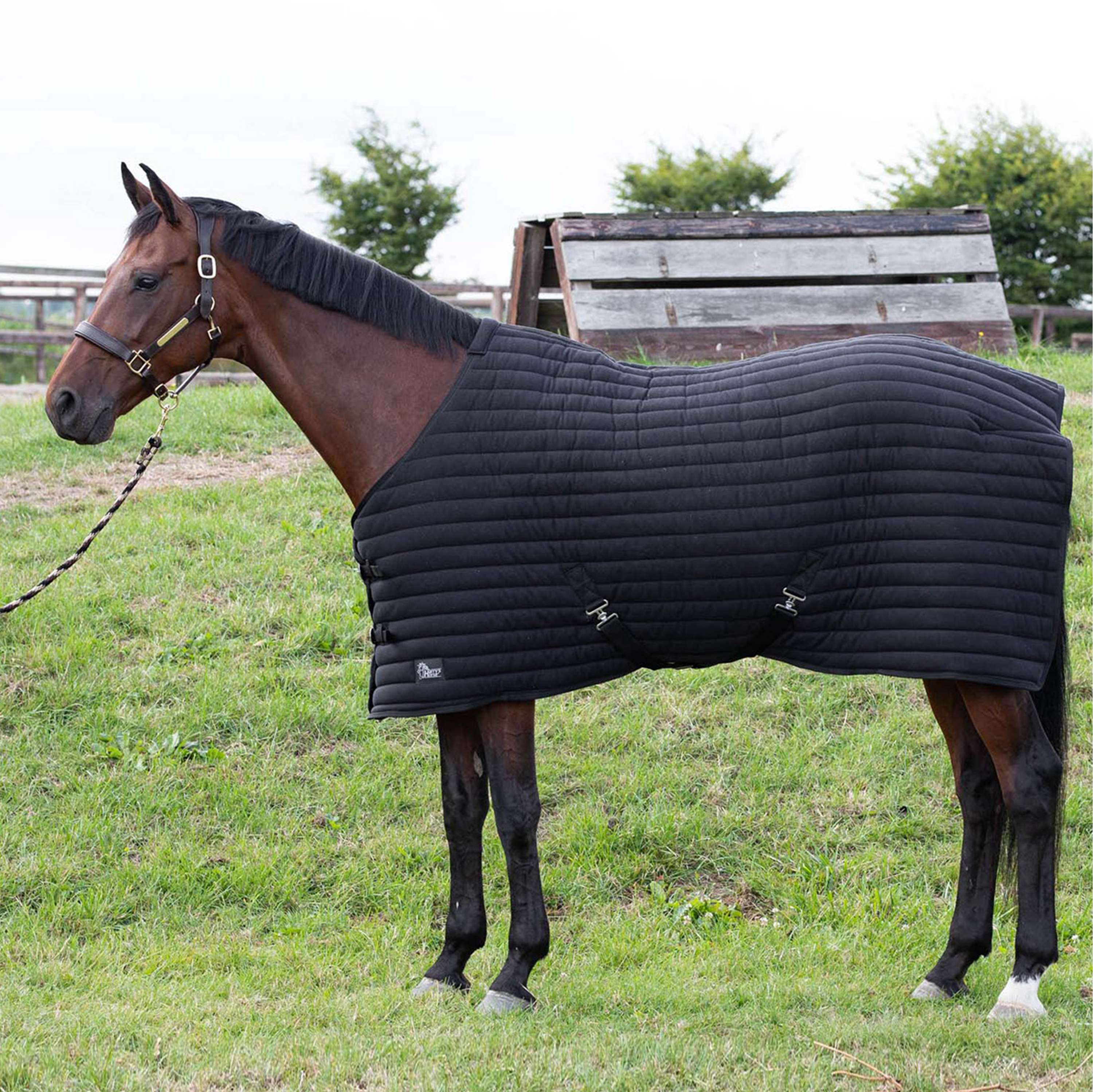 Harry's Horse Under Rug Powerliner 200g Black