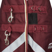 Highlander Plus Turnout Rug 100g Maroon