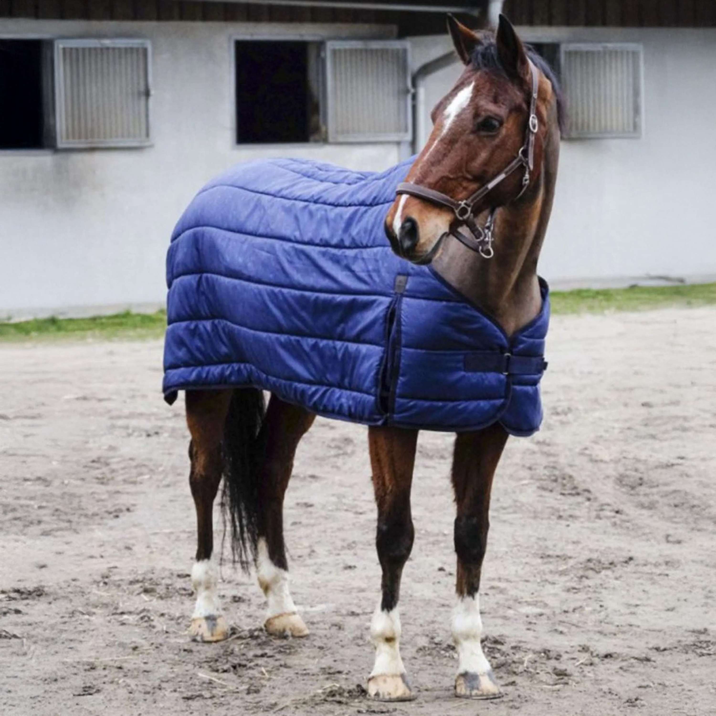 EQUITHÈME Under Rug Classic 100g Navy