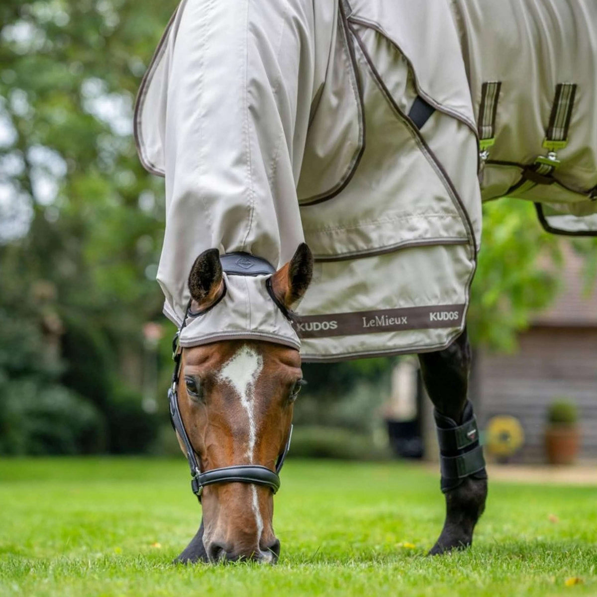 LeMieux Eczema Rug Kudos Sweet Itch Stone