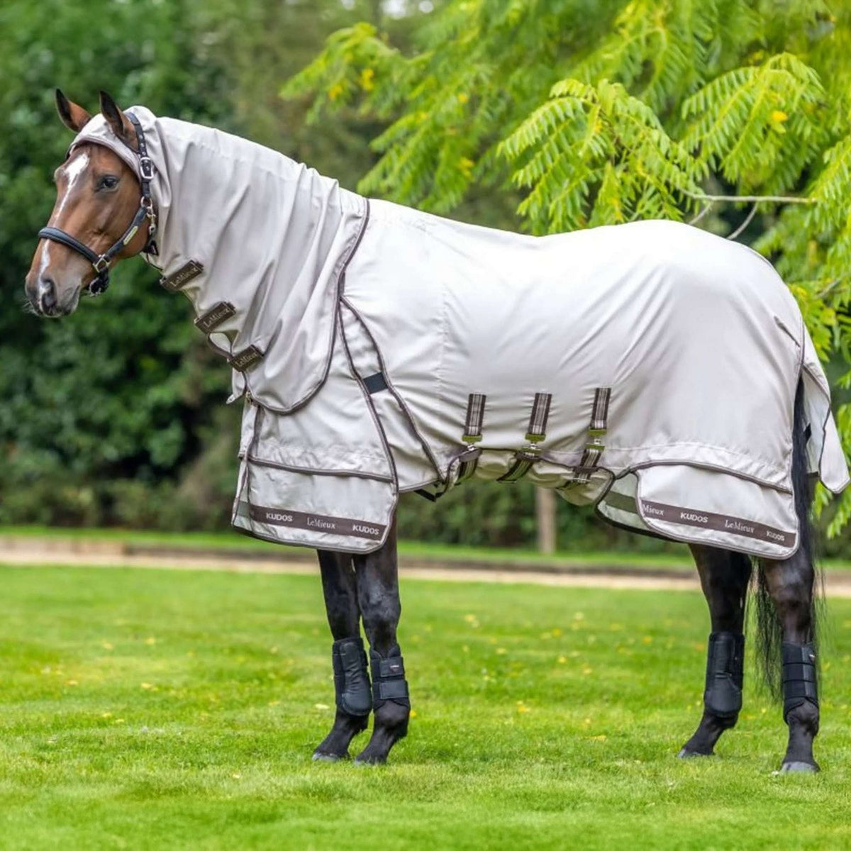 LeMieux Eczema Rug Kudos Sweet Itch Stone