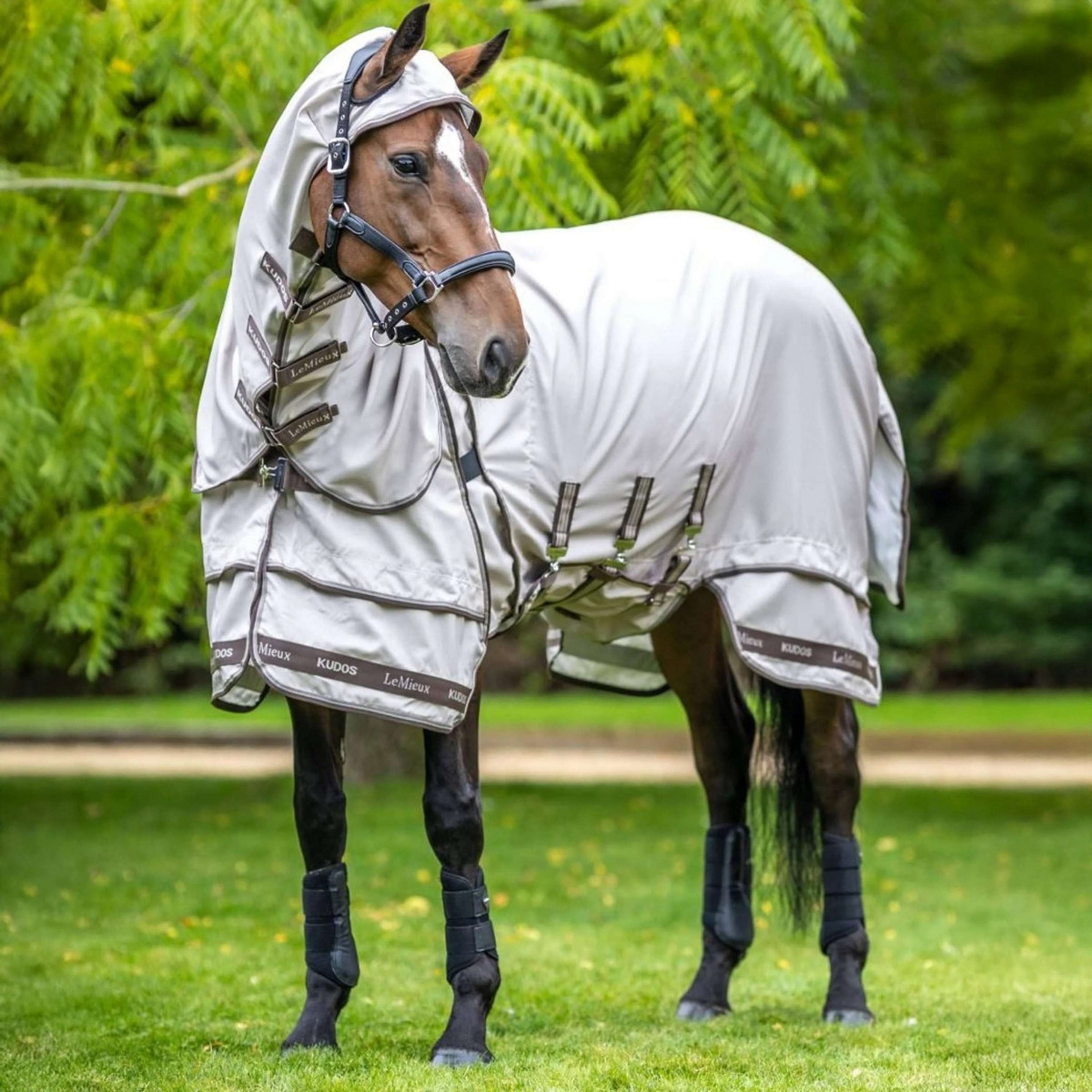 LeMieux Eczema Rug Kudos Sweet Itch Stone