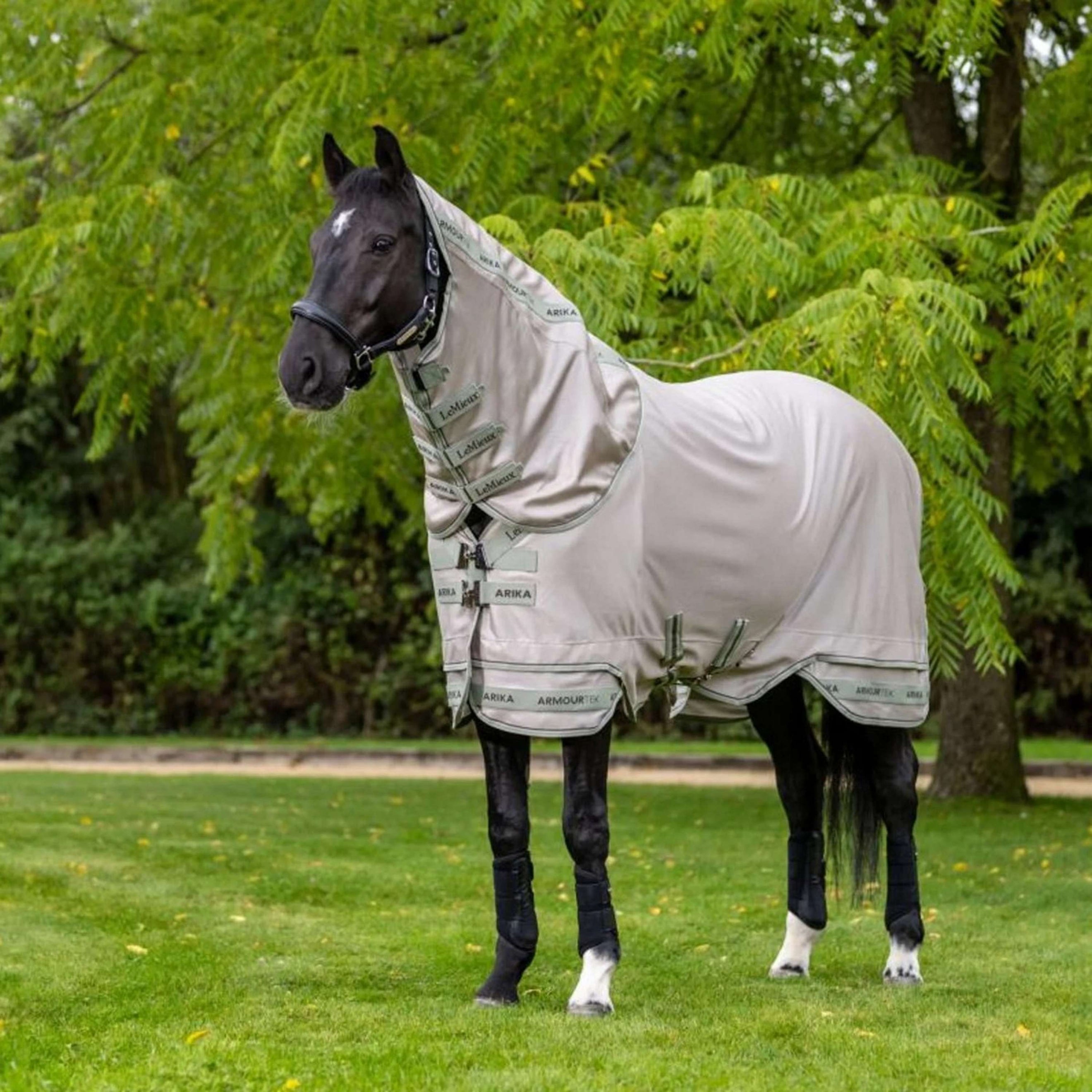 LeMieux Fly Rug Arika Armour-Tek Stone