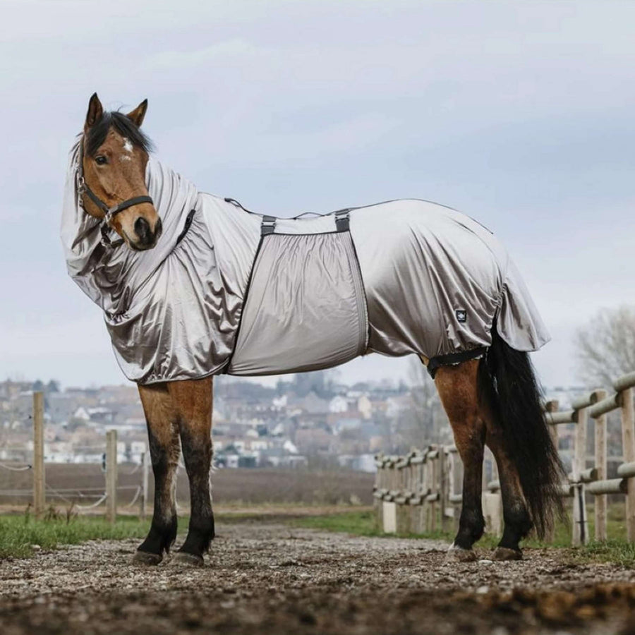 Riding World Eczema Rug Grey