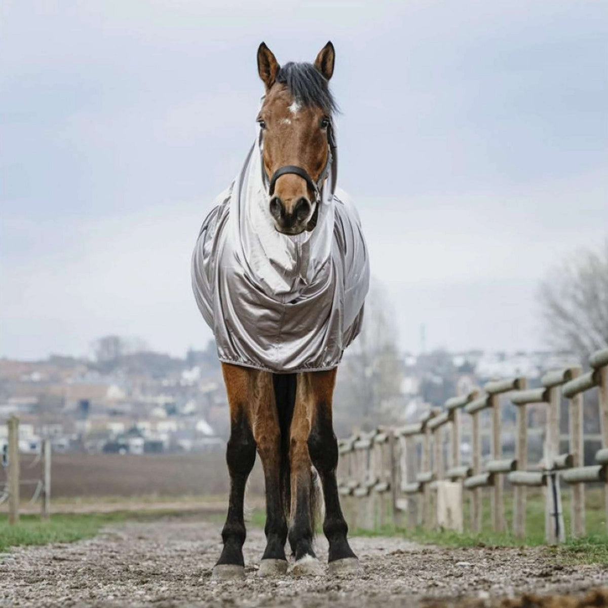 Riding World Eczema Rug Grey