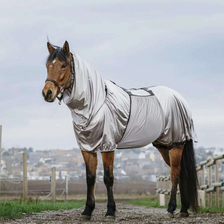 Riding World Eczema Rug Grey