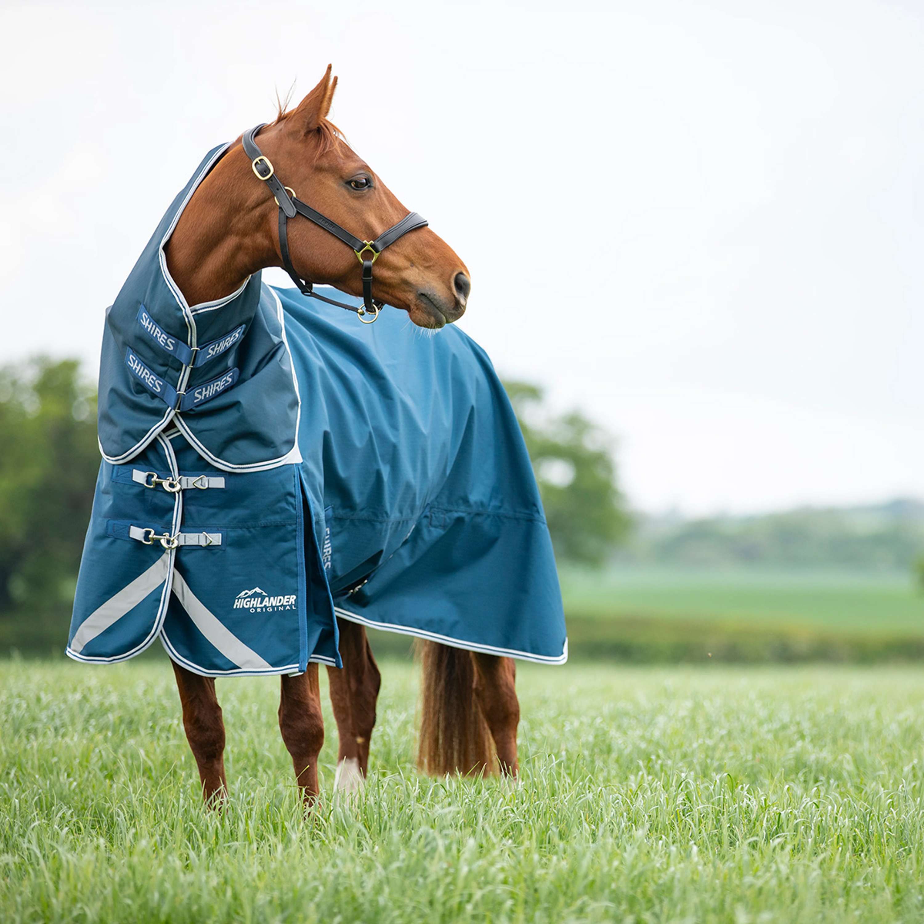 Shires Rain Rug Original 50 Turnout with a Hood Ocean