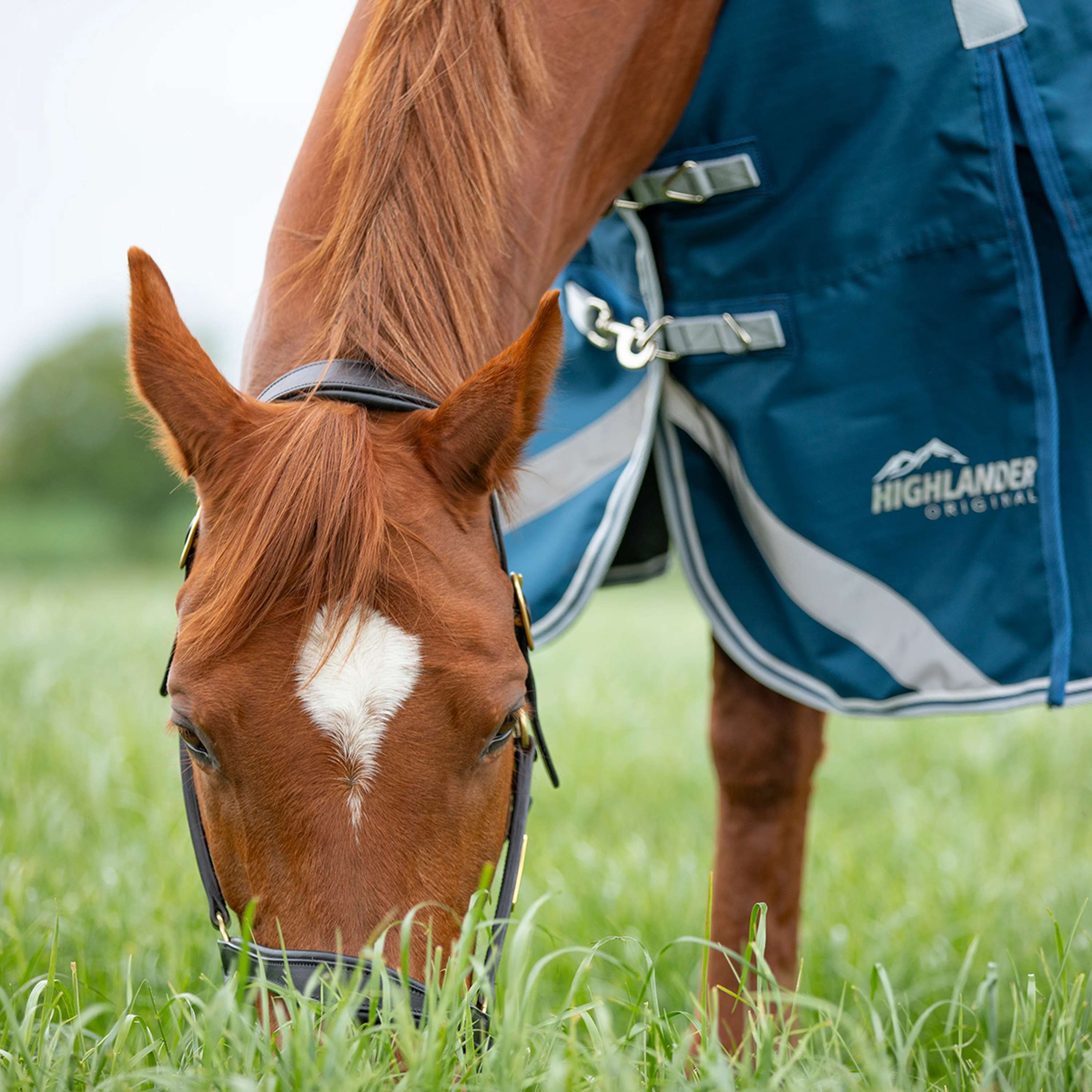 Shires Rain Rug Original 50 Turnout with a Hood Ocean
