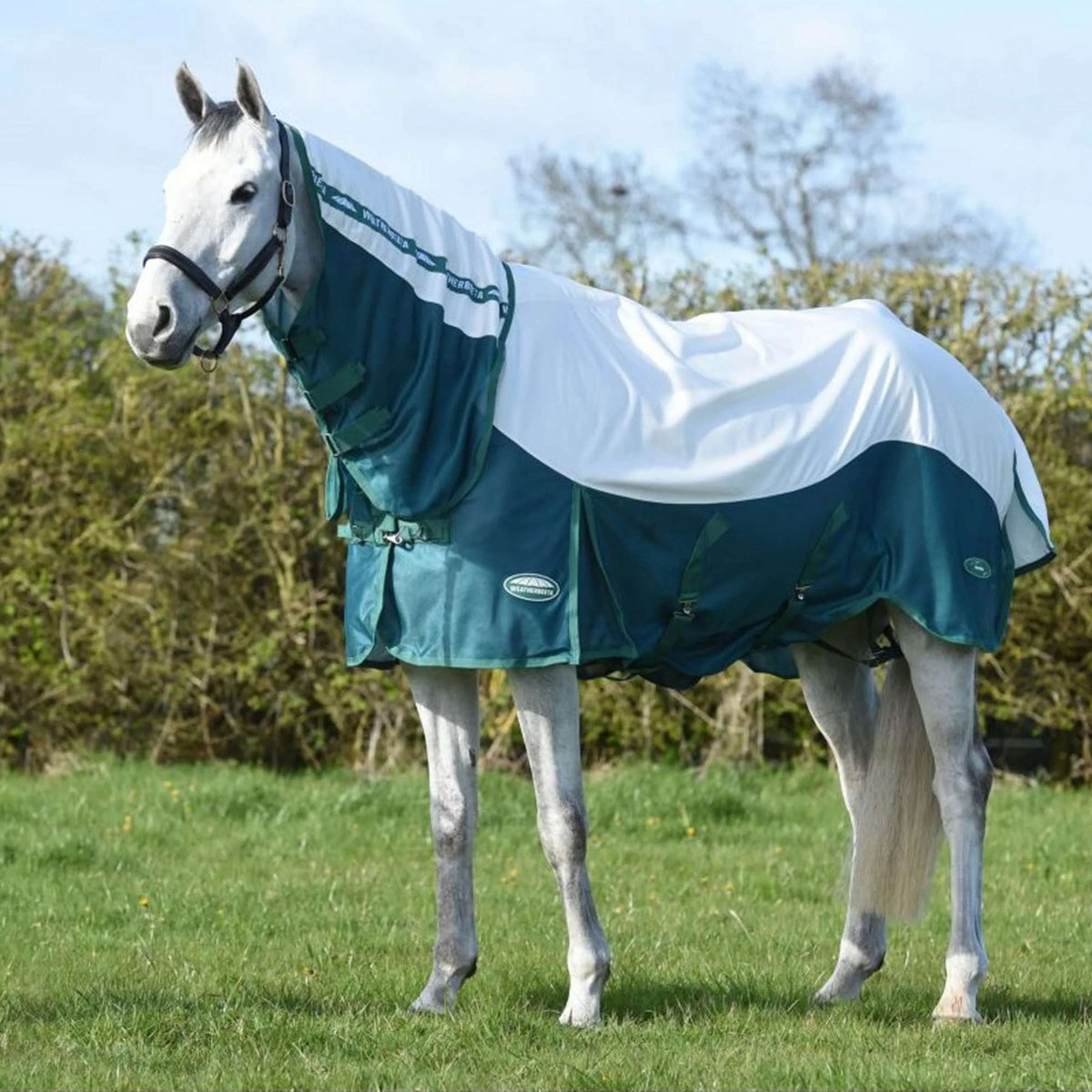 WeatherBeeta Fly Rug ComFiTec Green-Tec Airflow Mesh Combo Neck White/Dragonfly Blue