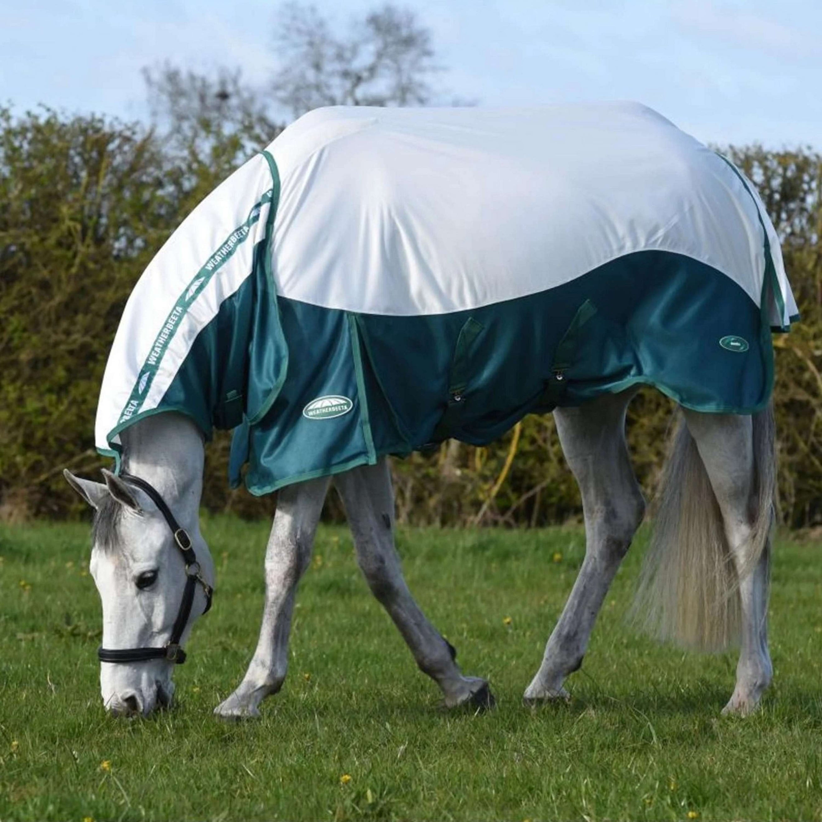 WeatherBeeta Fly Rug ComFiTec Green-Tec Airflow Mesh Combo Neck White/Dragonfly Blue