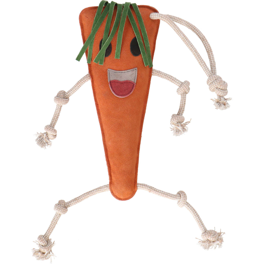Excellent Horse Foodie Friends Carrot