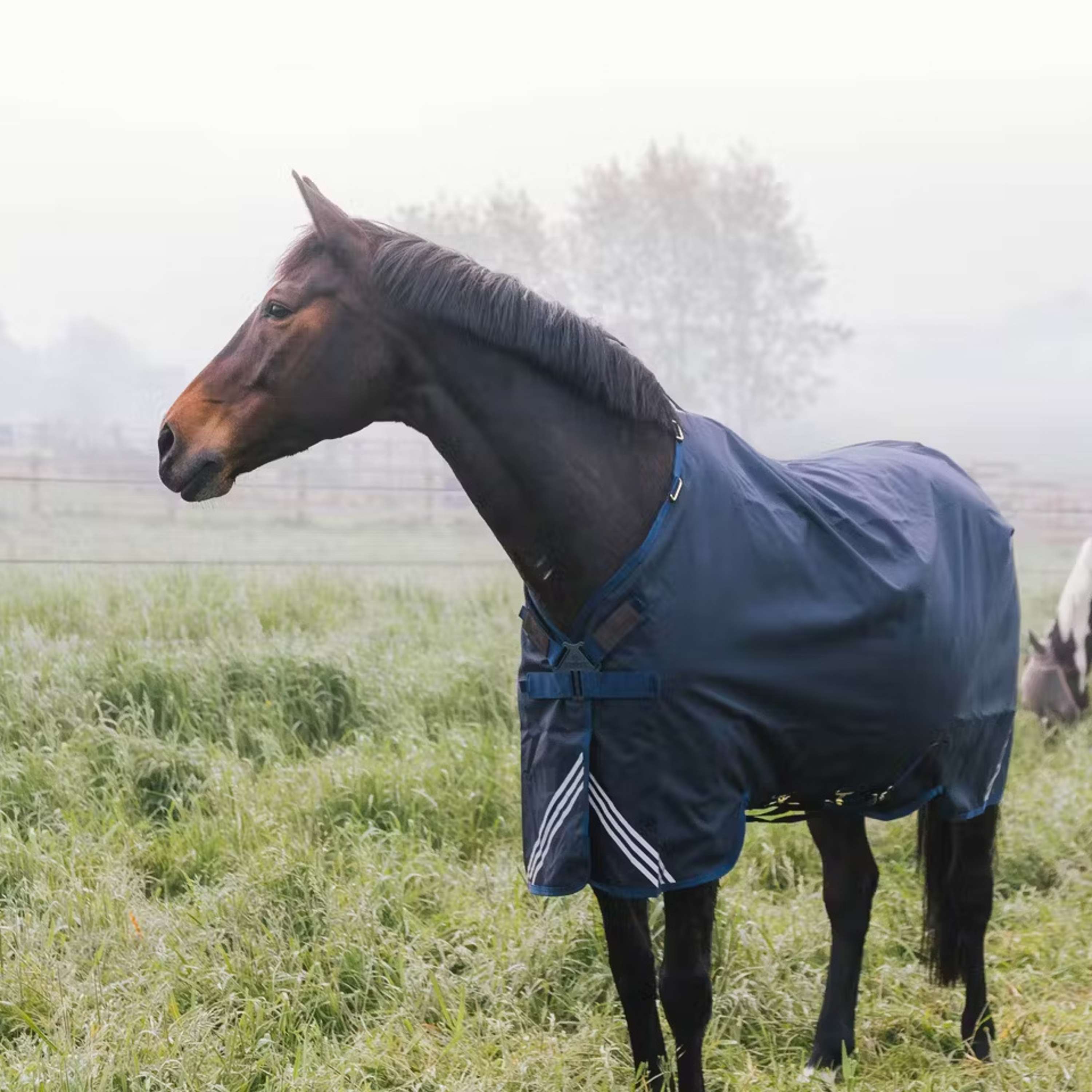 Kentucky Turnout Rug All Weather Comfort Waterproof 100g Navy