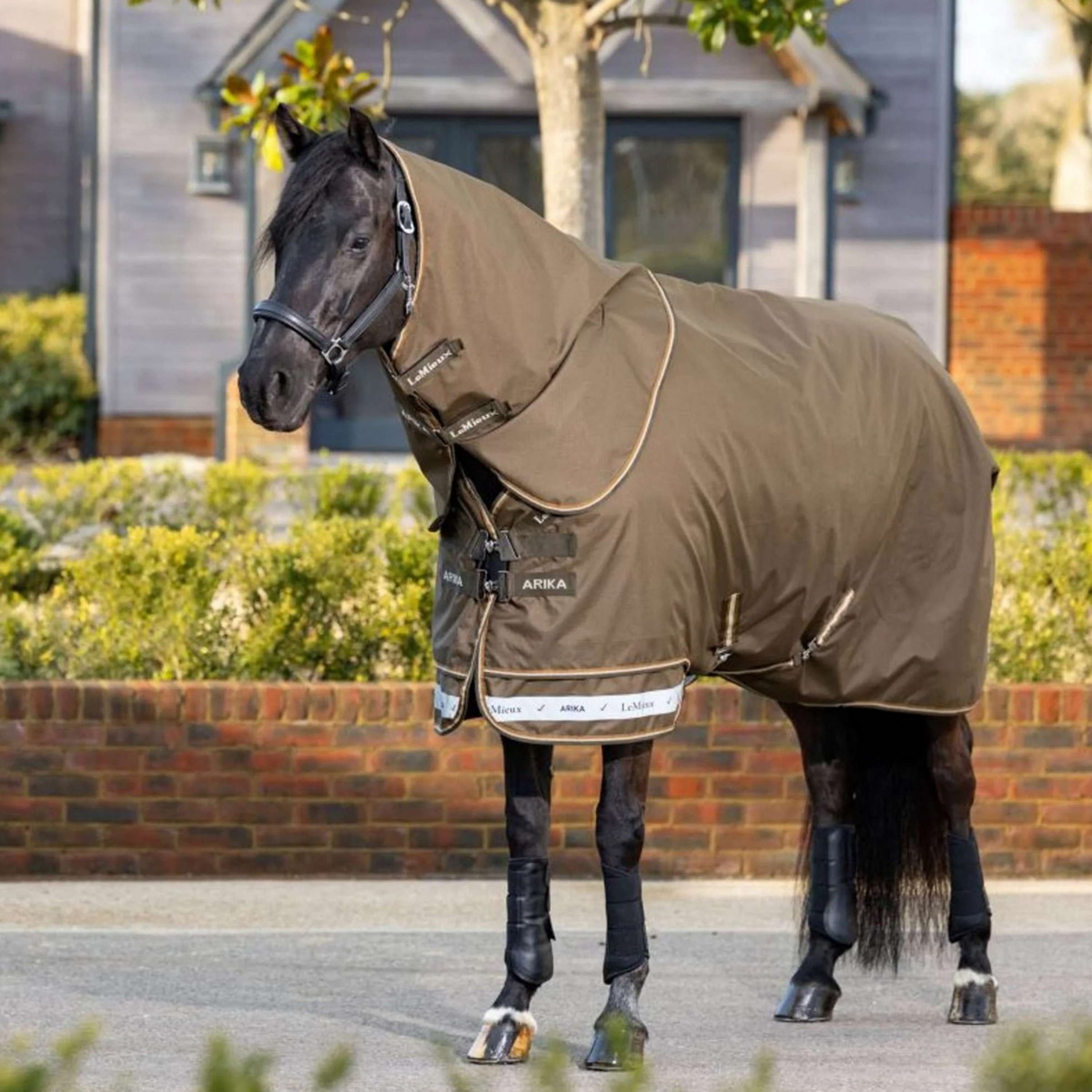 LeMieux Outdoor Rug Arika 600D 0g Alpine