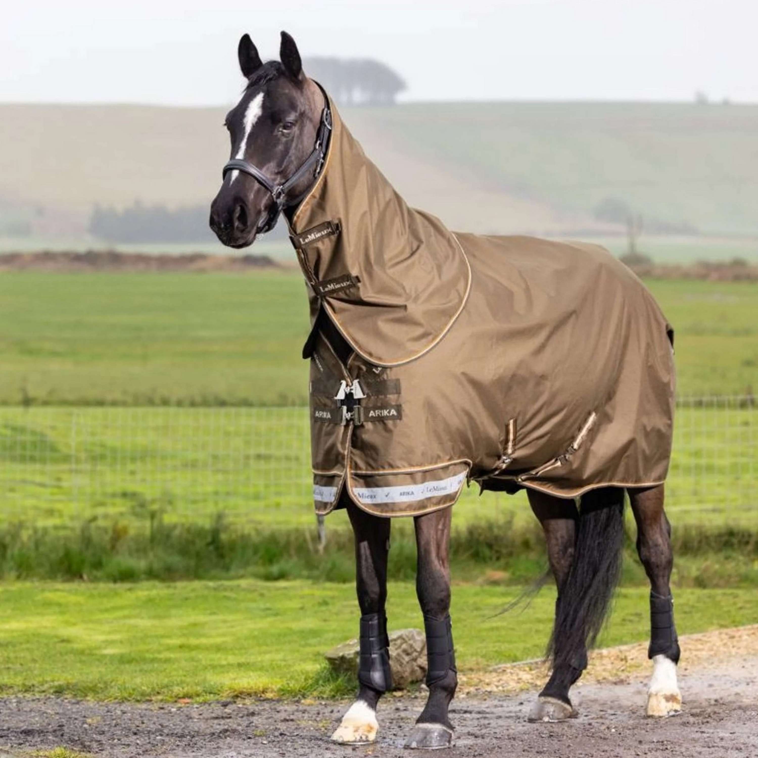 LeMieux Outdoor Rug Arika 600D 0g Alpine