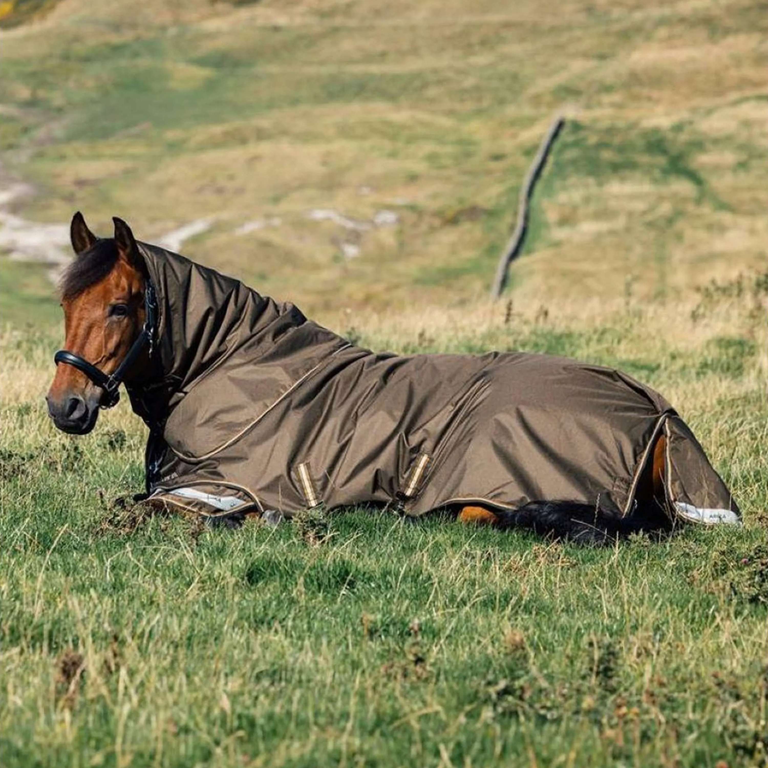 LeMieux Outdoor Rug Arika 600D 100gr Alpine