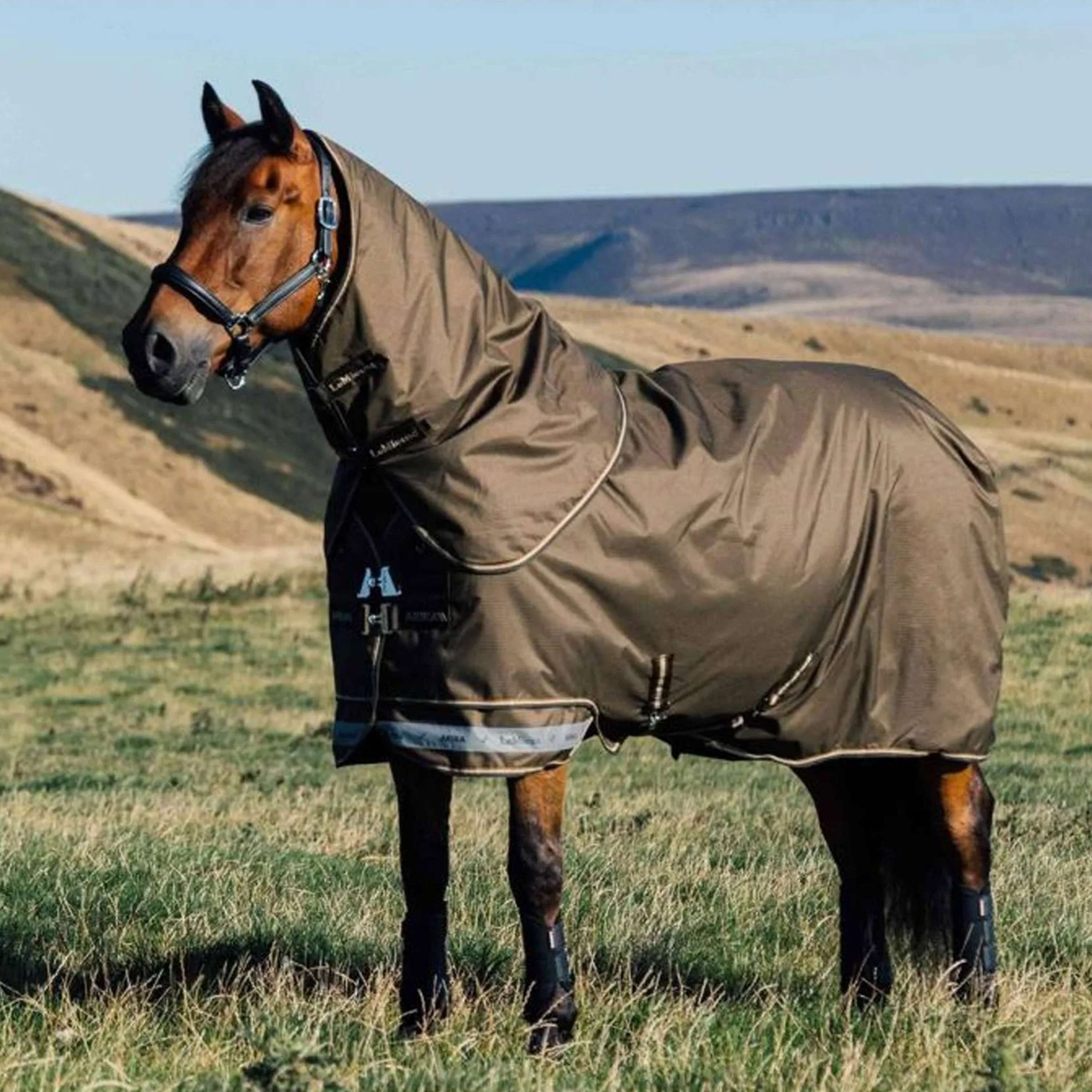 LeMieux Outdoor Rug Arika 600D 100gr Alpine