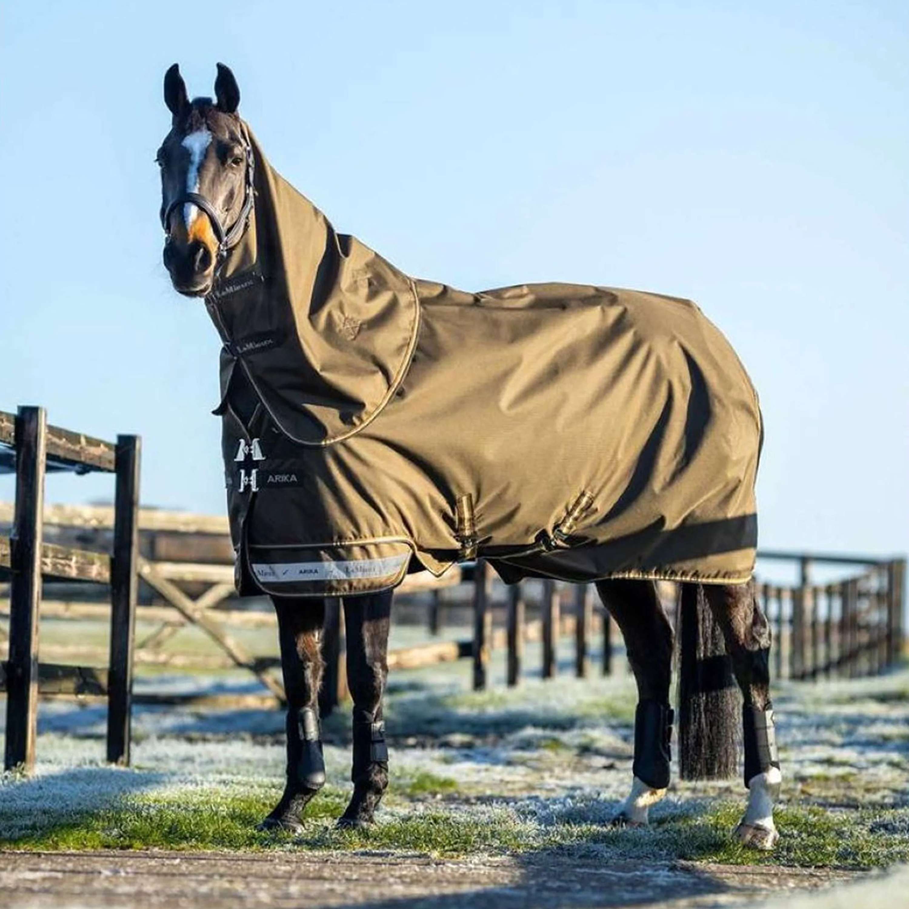 LeMieux Outdoor Rug Arika 600D 100gr Alpine
