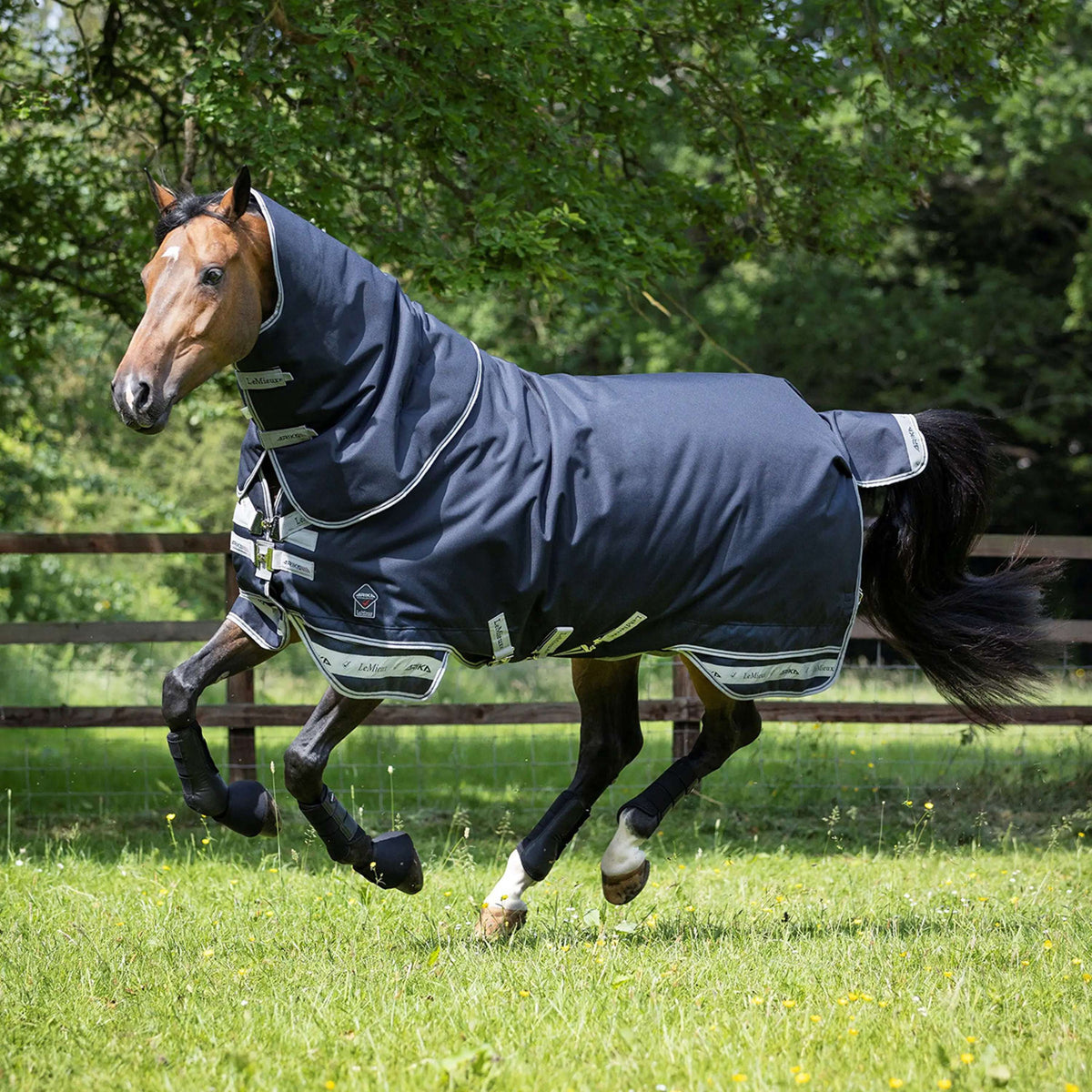 LeMieux Rug Arika Storm-Tek Turnout 100gr Navy