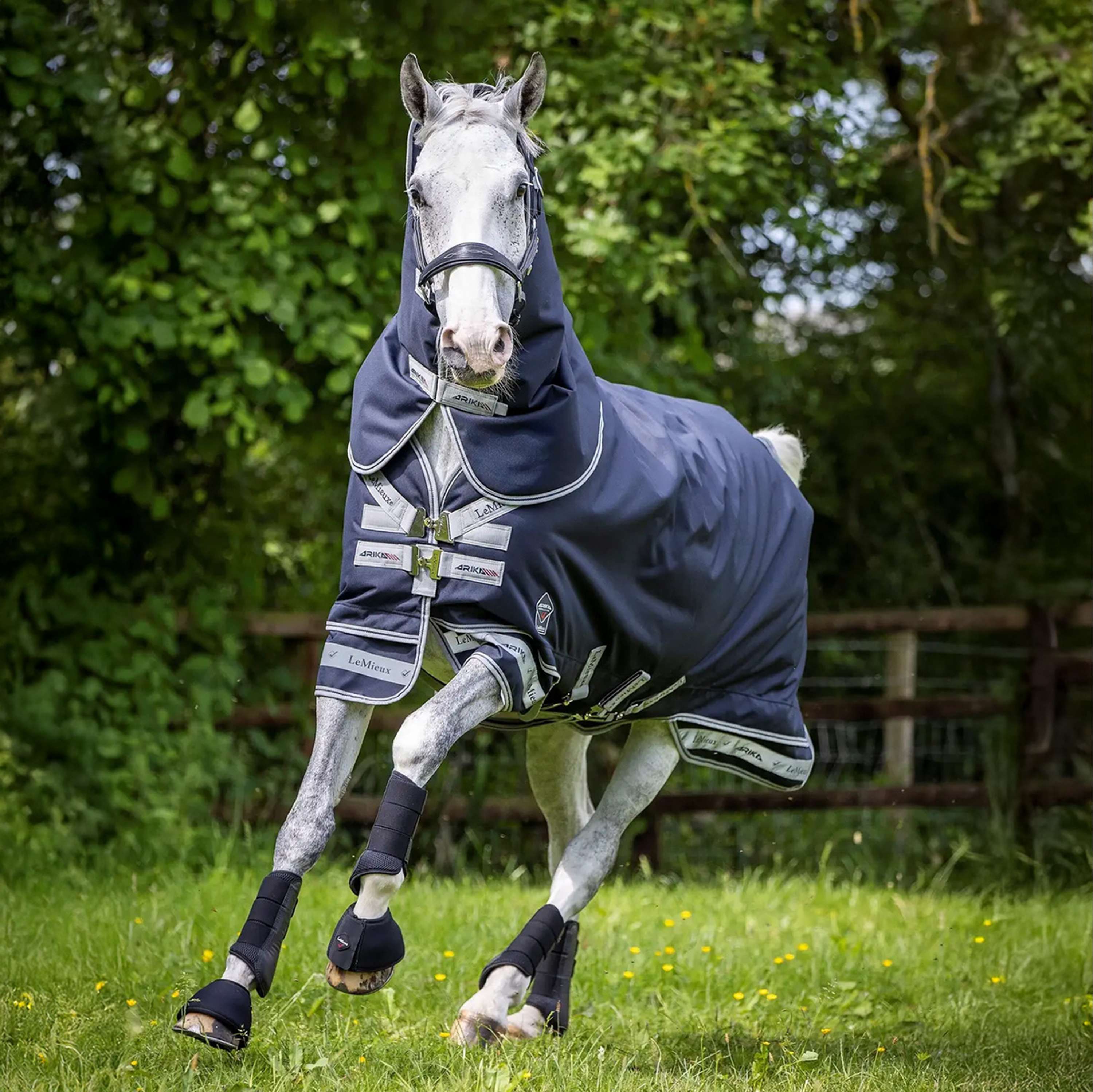 LeMieux Rug Arika Storm-Tek Turnout 200g Navy