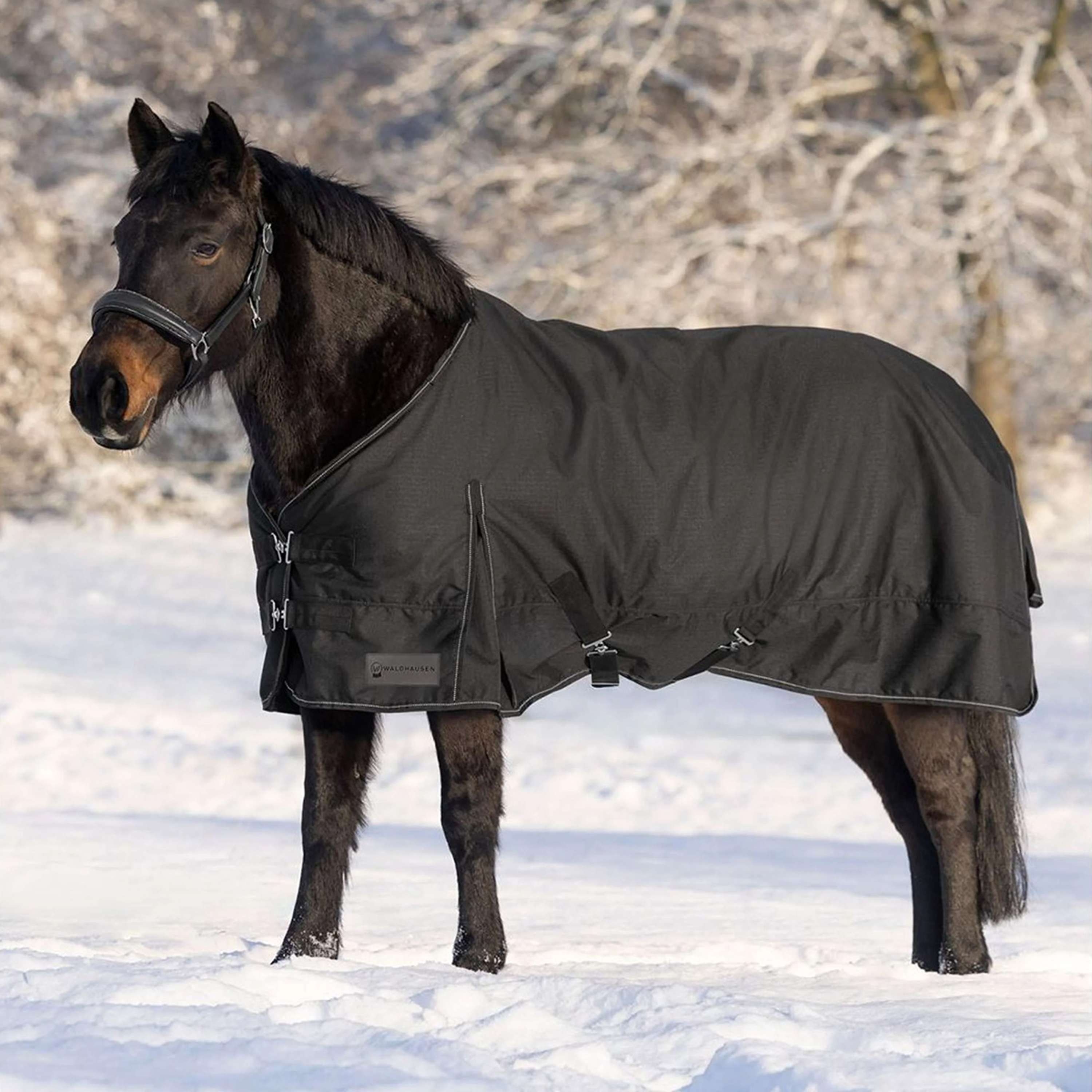 Waldhausen Outdoor Rug Nordic 300g Black