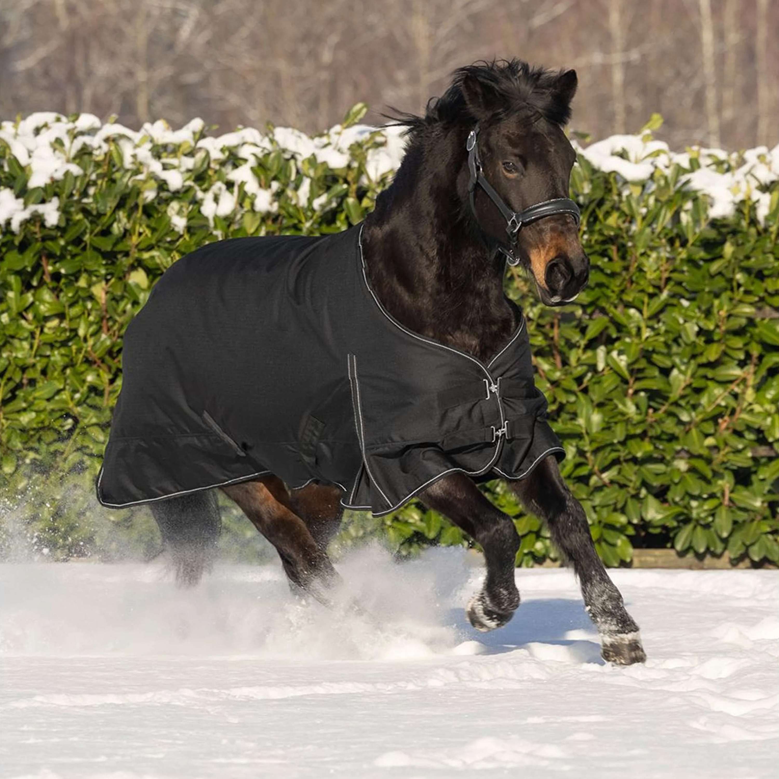 Waldhausen Outdoor Rug Nordic 300g Black
