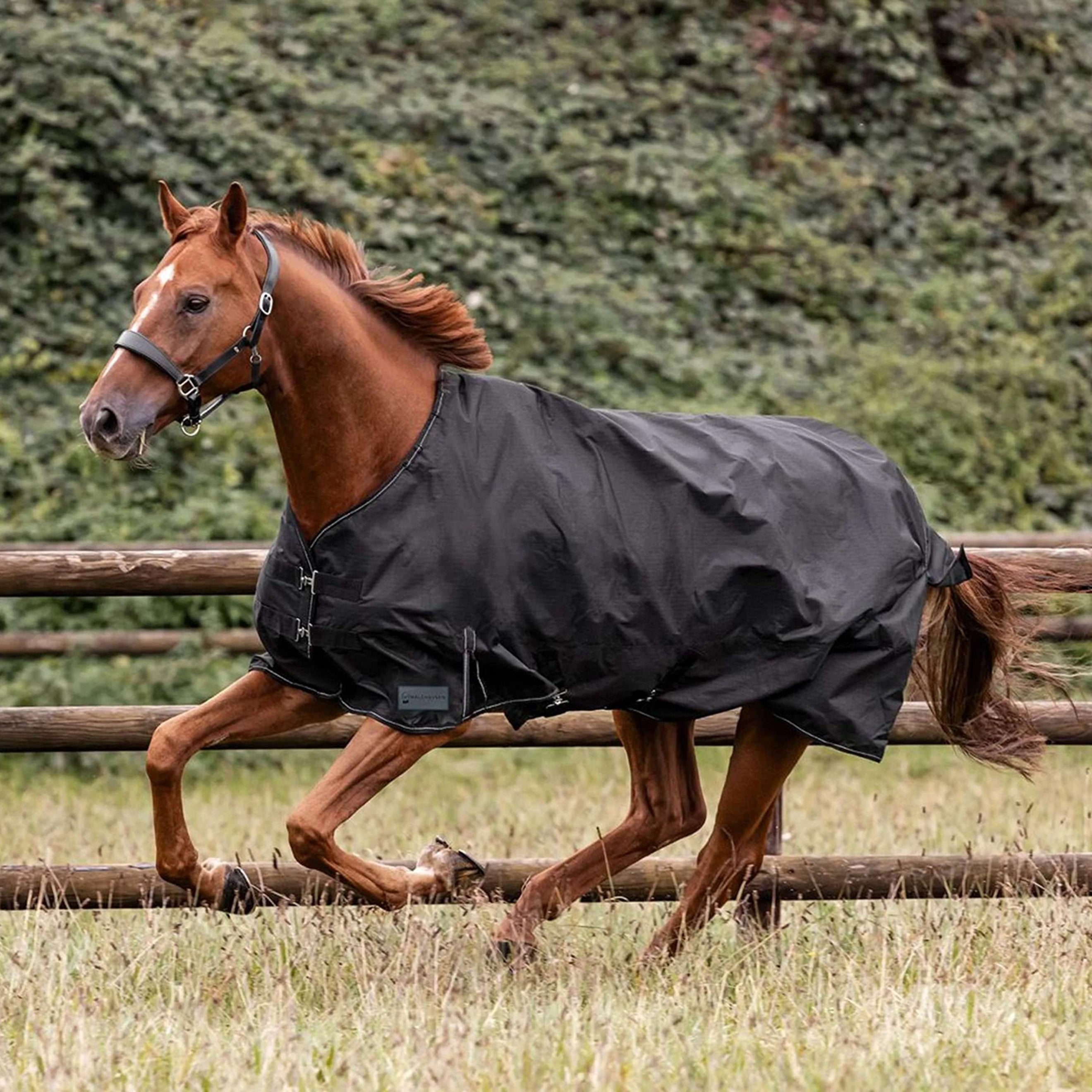 Waldhausen Outdoor Rug Nordic 50g Black