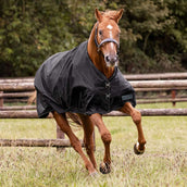 Waldhausen Outdoor Rug Nordic 50g Black