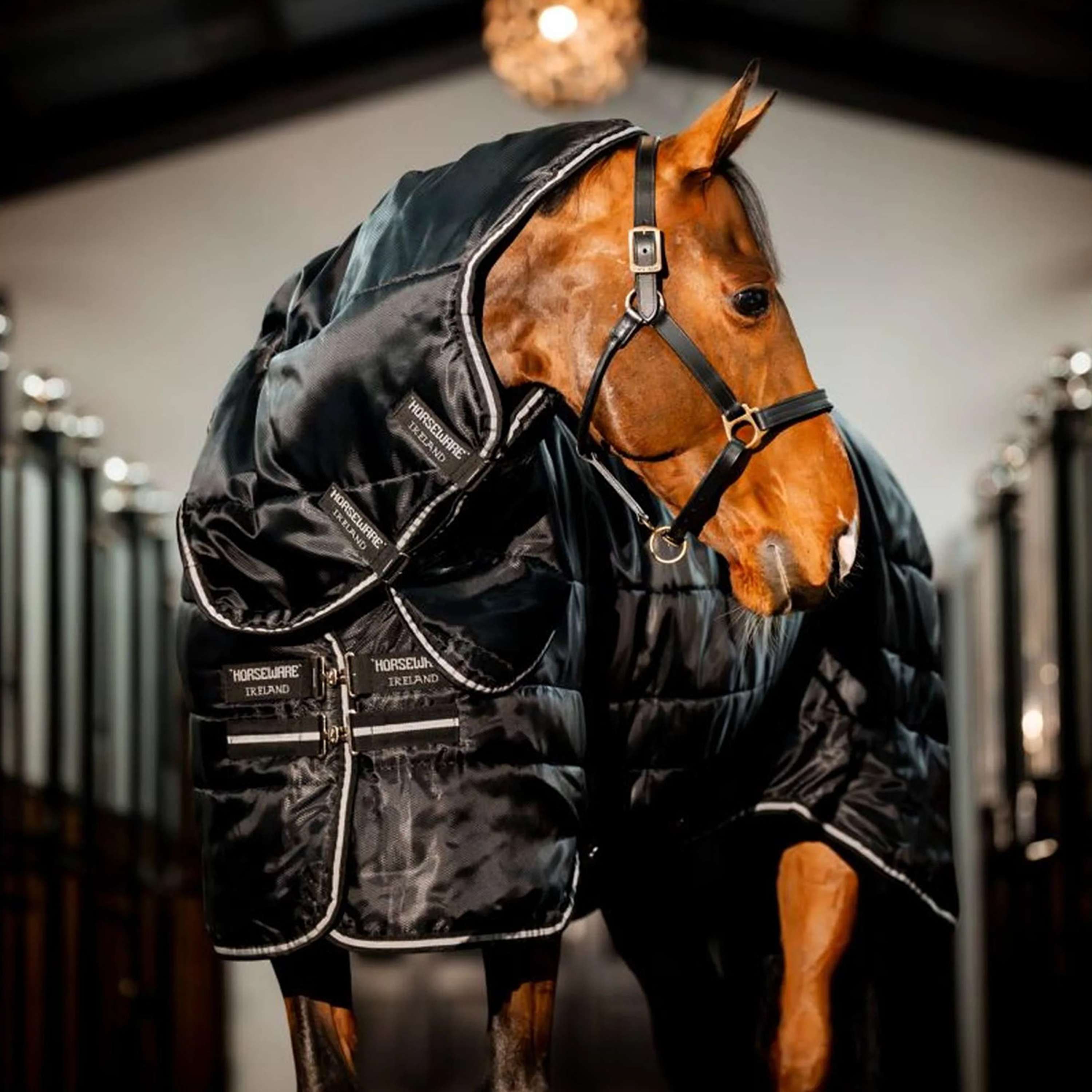 Horseware Easy-Layer Stable Plus Heavy 400g Black/Black