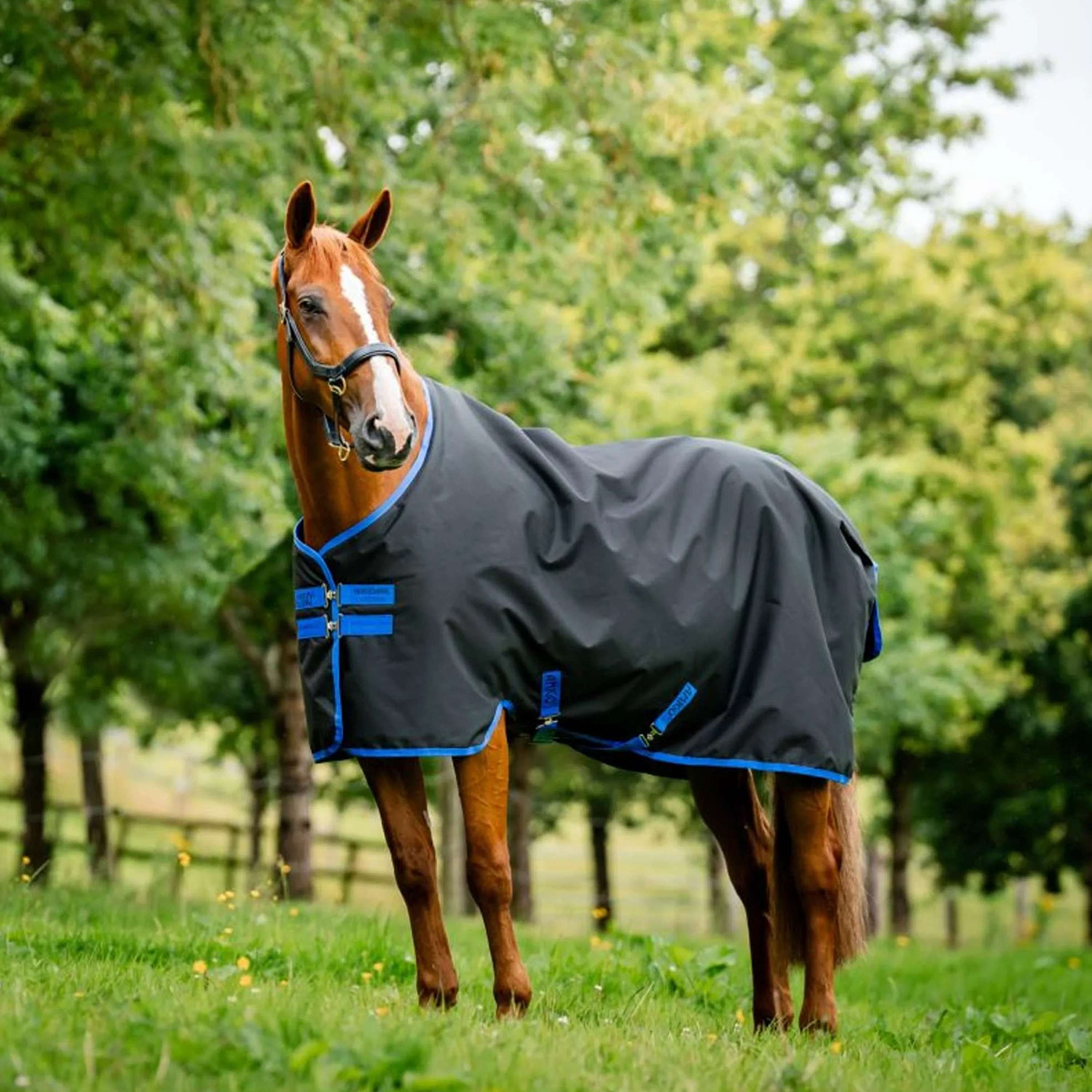 Amigo Ripstop 900 Original 50g Fleece Black/Blue