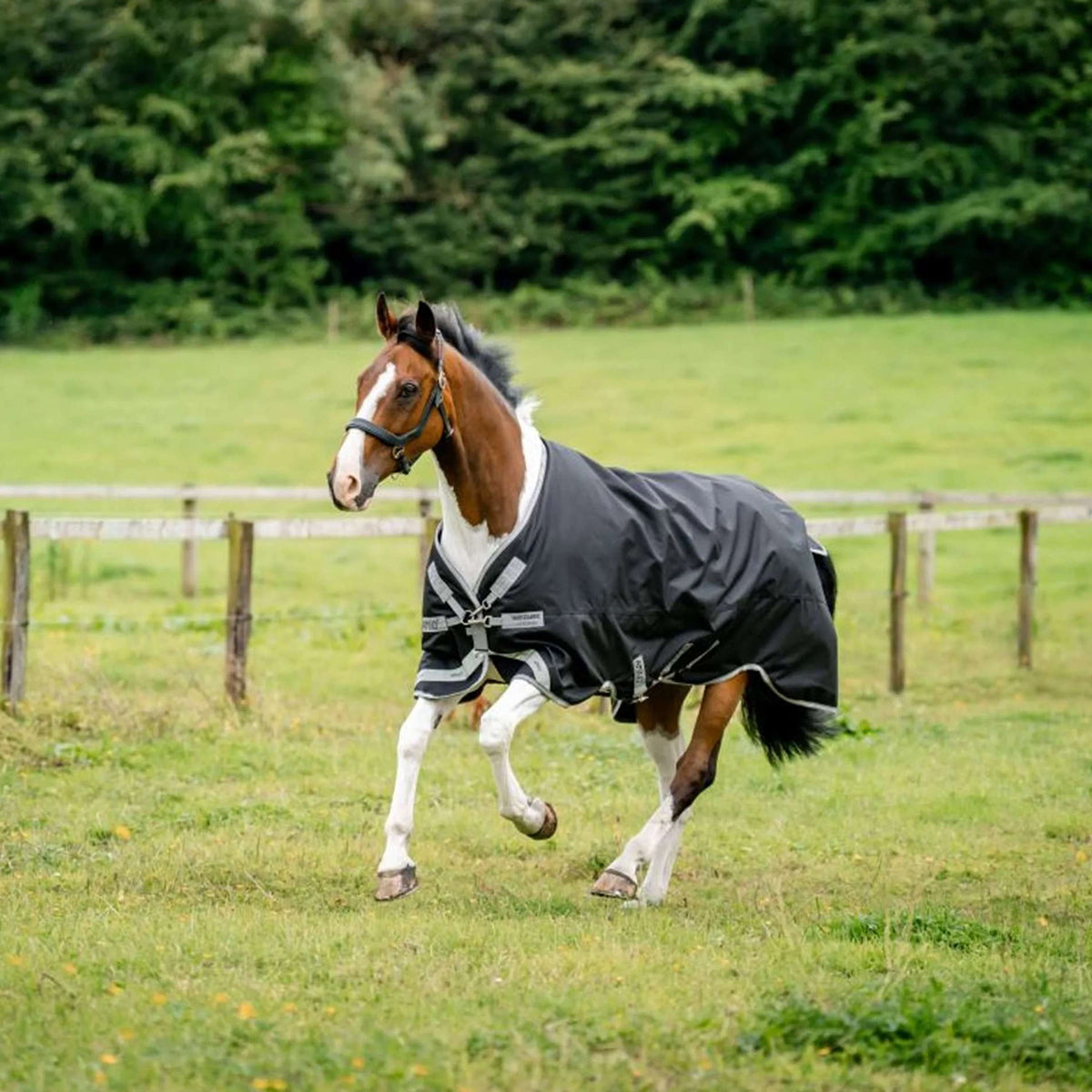 Amigo Bravo 12 Turnout 50g Black/Titanium Grey