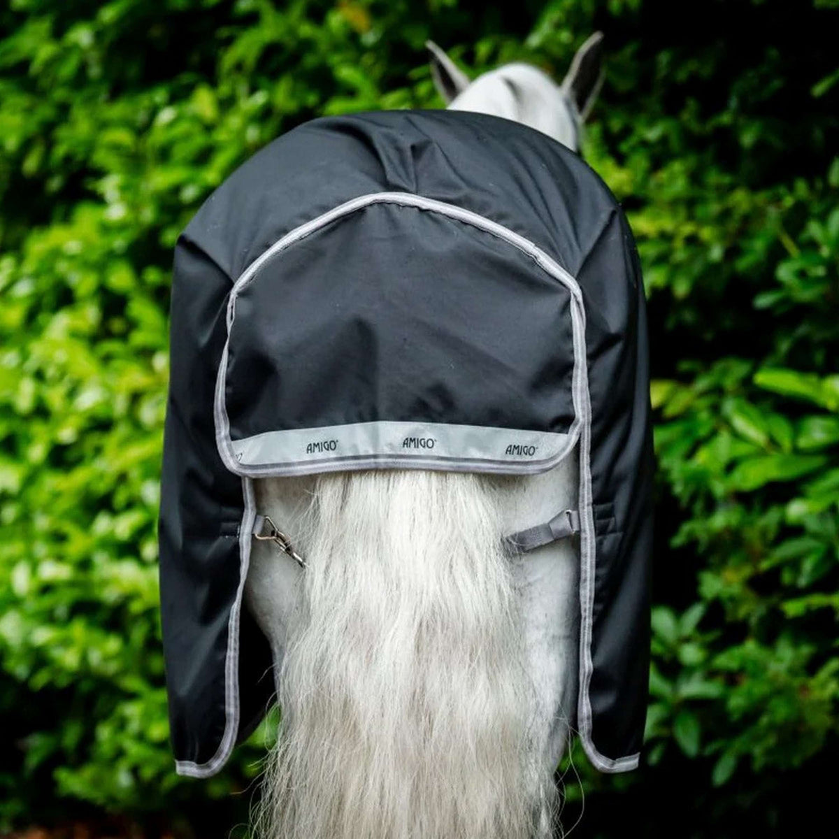 Amigo Bravo 12 Plus T/O Medium 250g Black/Titanium Grey