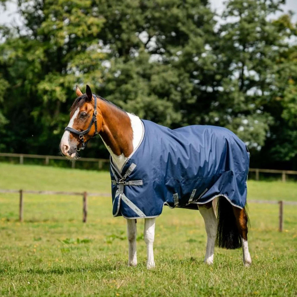 Amigo Bravo 12 Original Turnout Lite 0g Navy/Titanium Grey