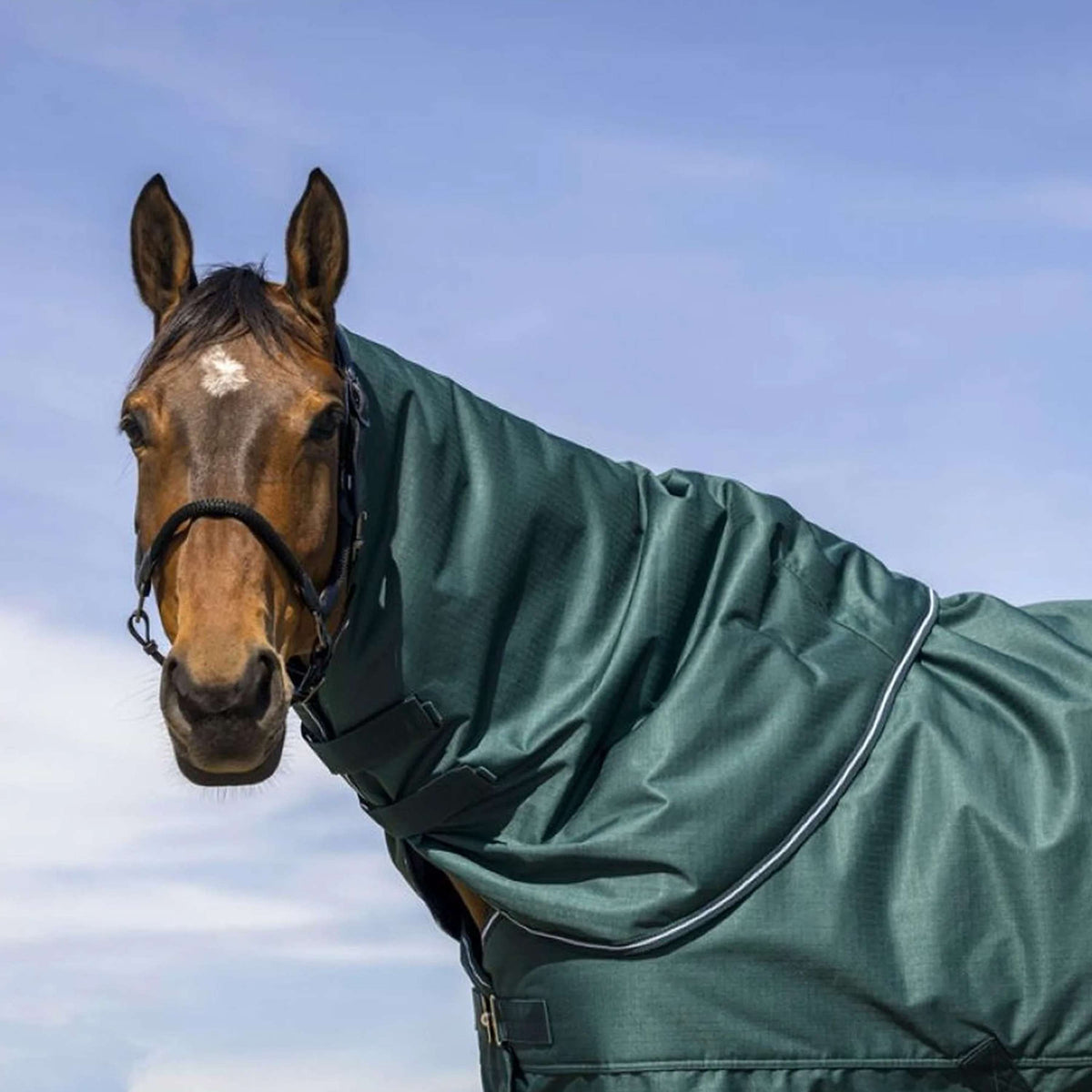 EQUITHÈME Neck Cover Tyrex 600D 200g Green