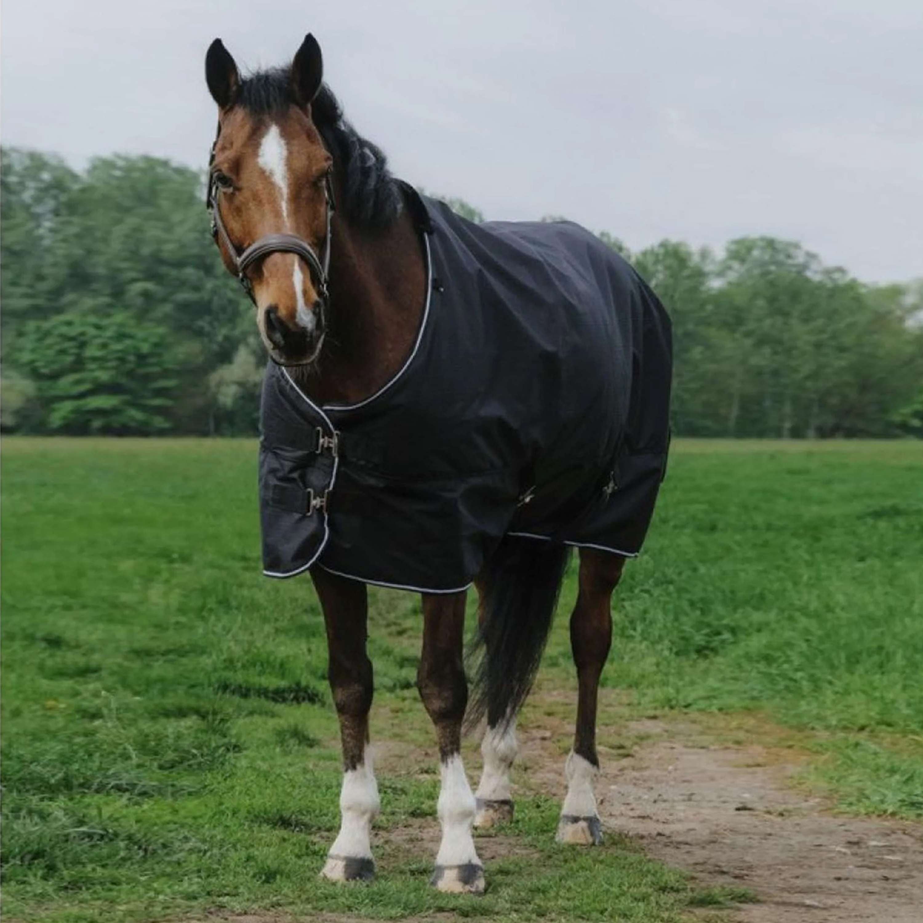 EQUITHÈME Outdoor Rug Tyrex 600D Standard 150g Black