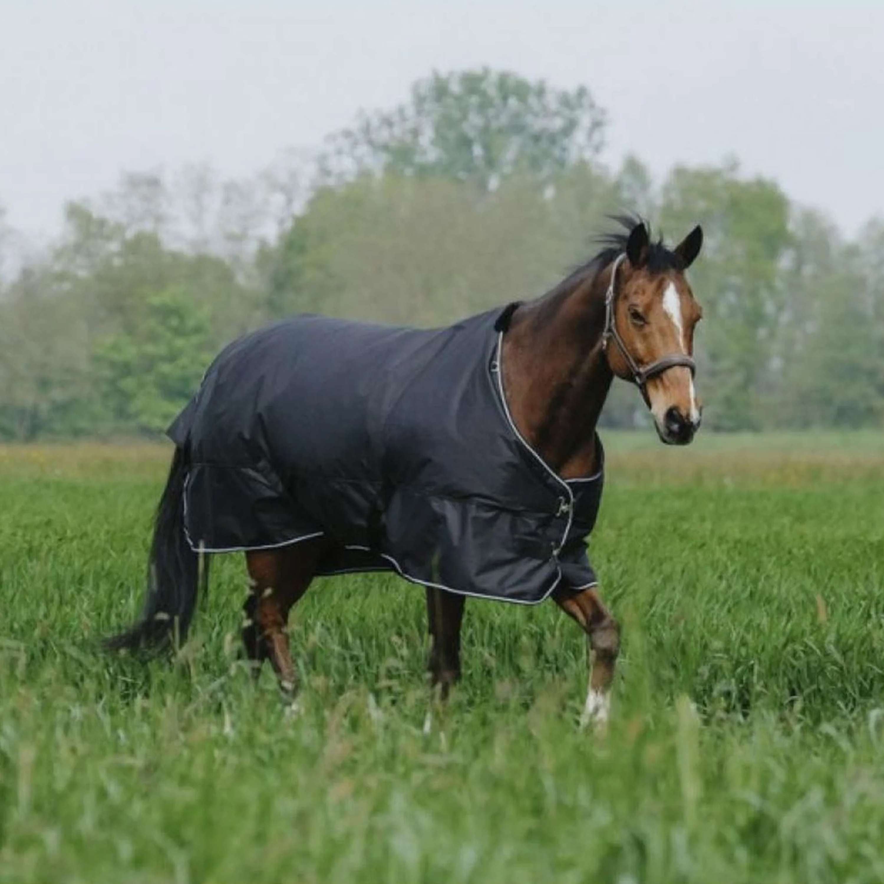 EQUITHÈME Outdoor Rug Tyrex 600D Standard 150g Black