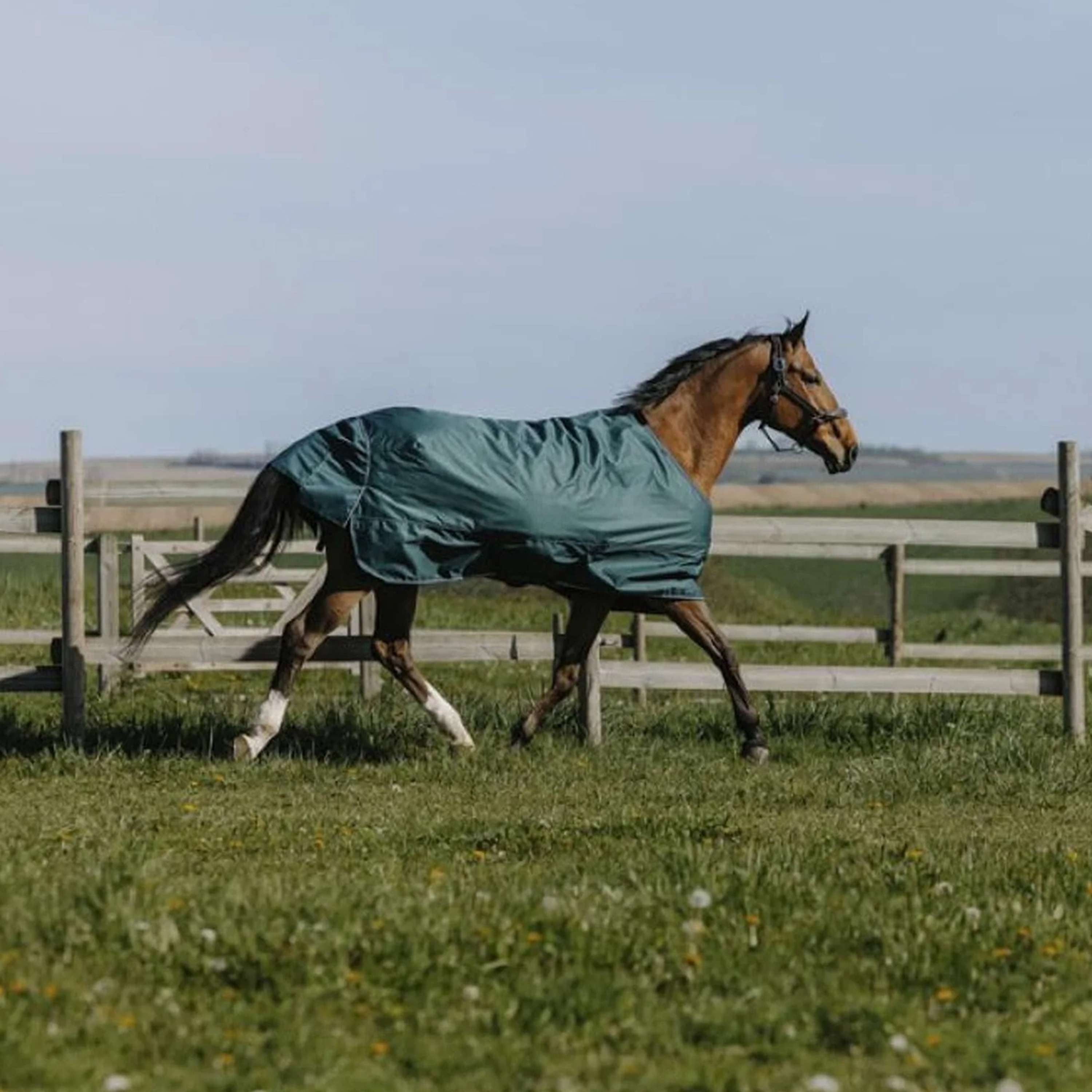 EQUITHÈME Outdoor Rug Tyrex 600D Standard 150g Green