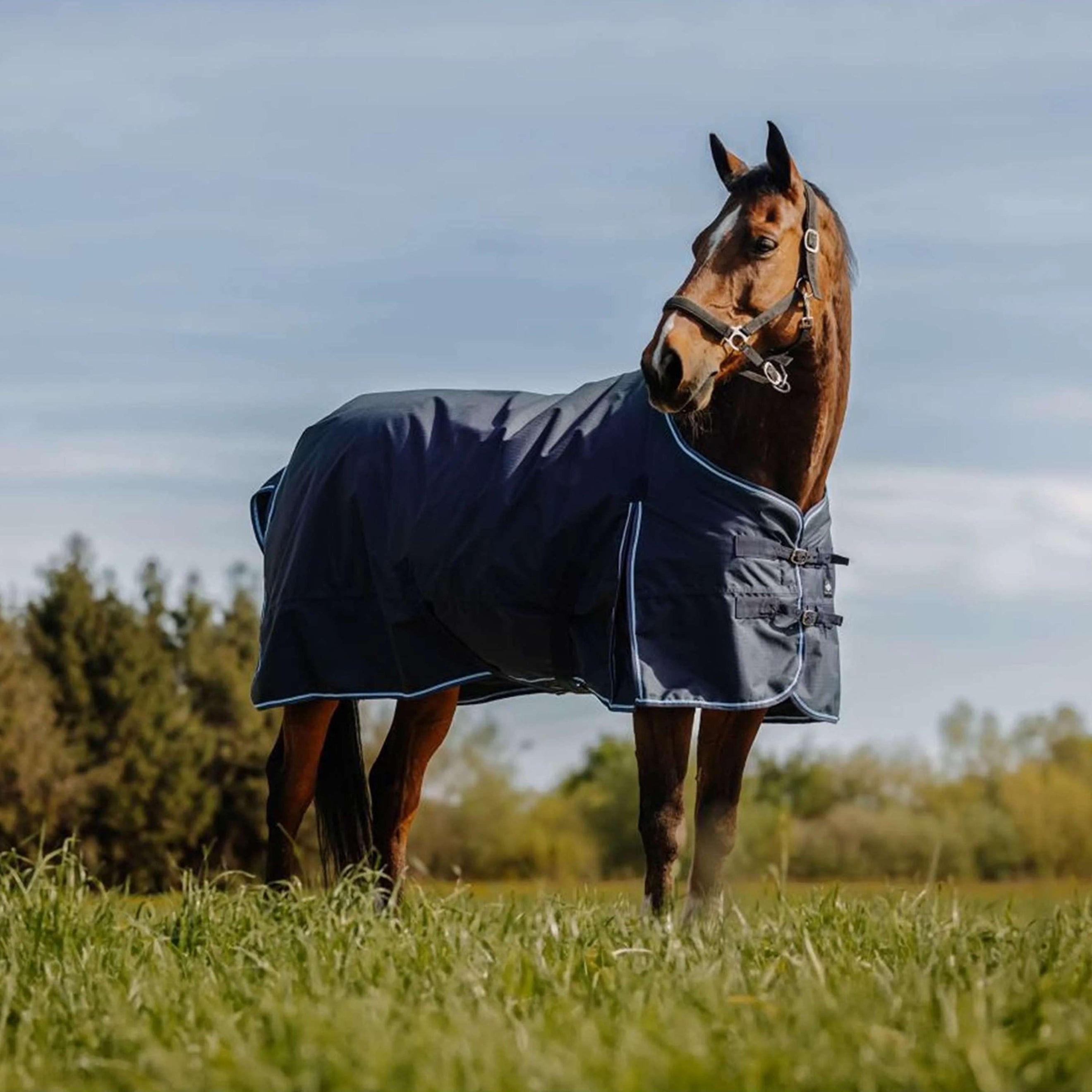 Riding World Outdoor Rug Eco 600D 0g Navy