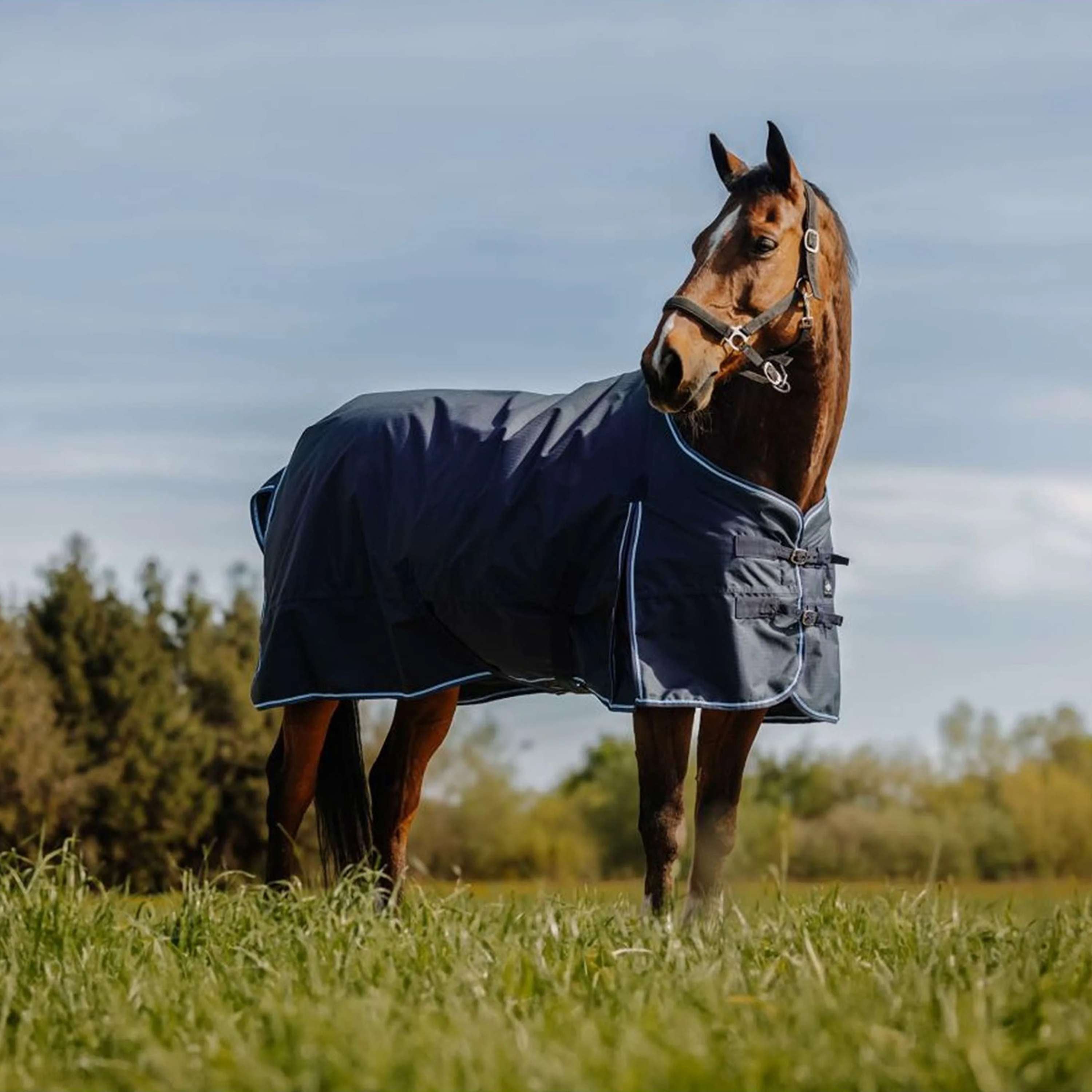 Riding World Outdoor Rug Eco 600D 50g Navy