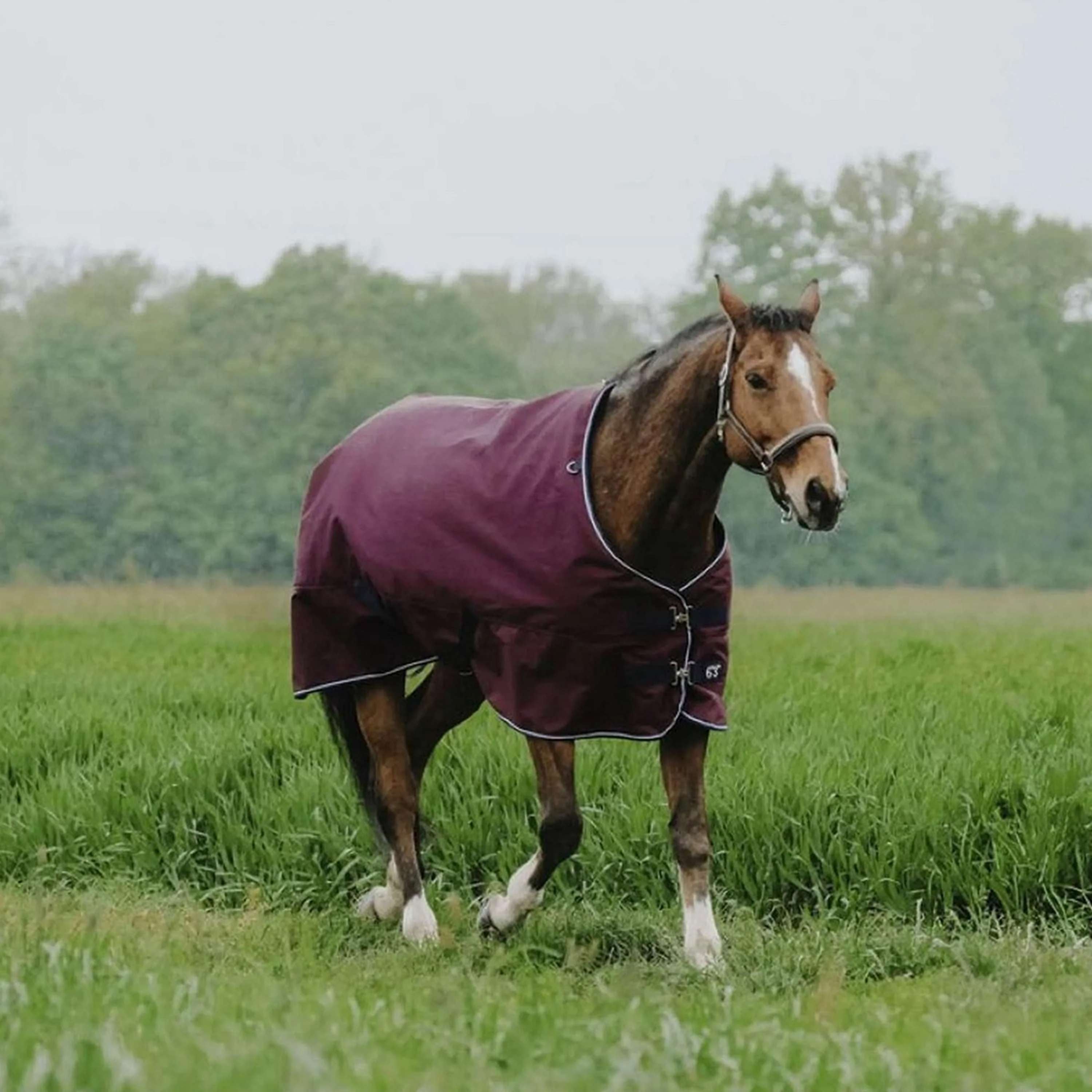 EQUITHÈME Outdoor Rug Tyrex 1200D 50g Standard Burgundy