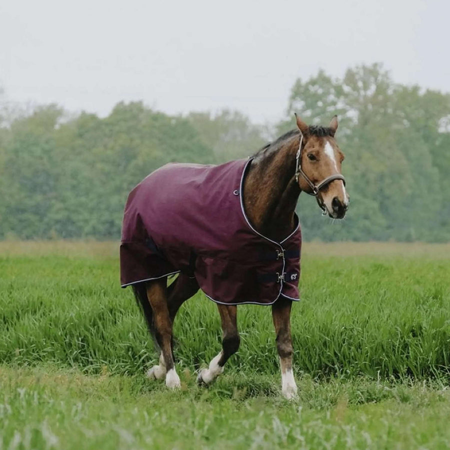 EQUITHÈME Outdoor Rug Tyrex 1200D 50g Standard Burgundy
