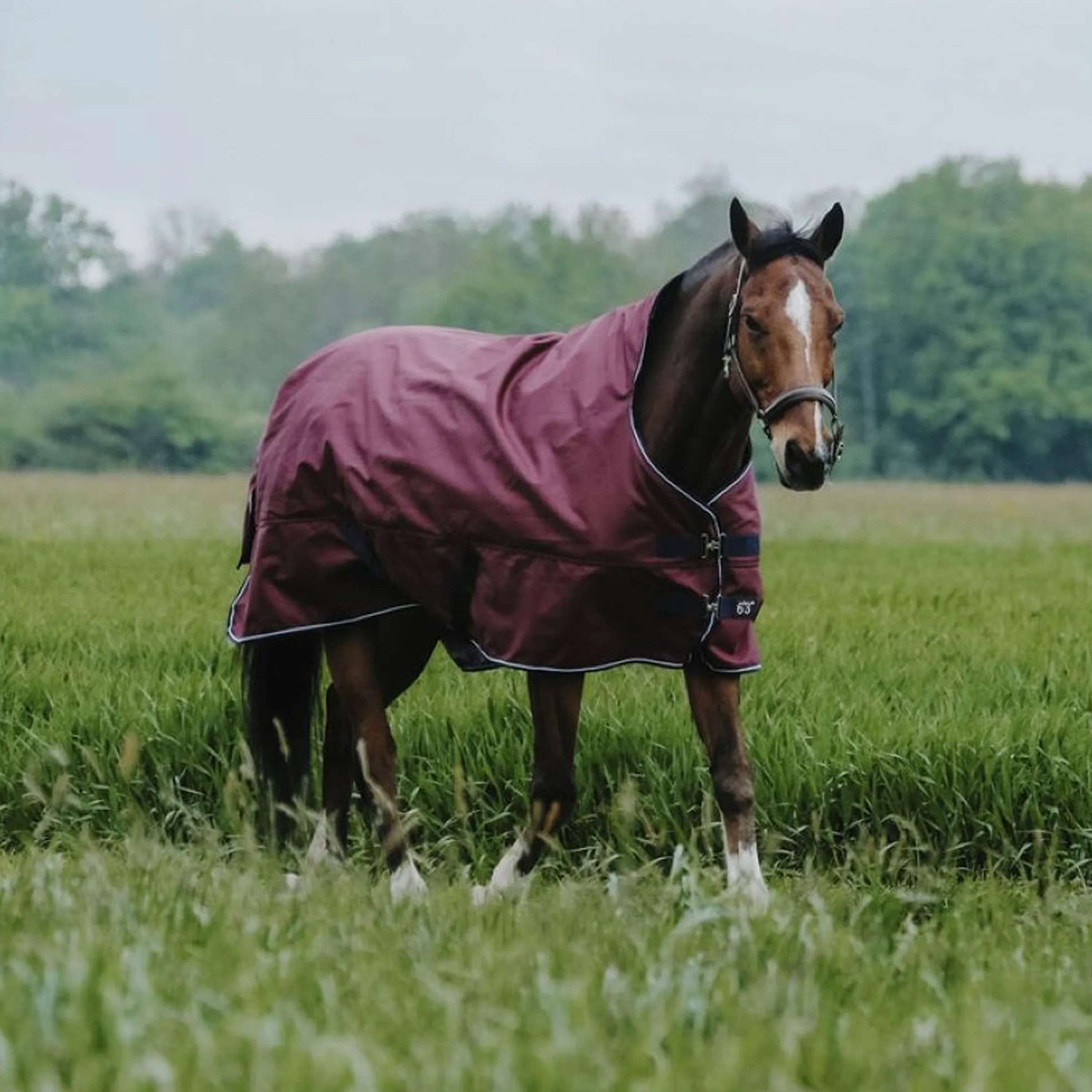 EQUITHÈME Outdoor Rug Tyrex 1200D 0g High Neck Burgundy