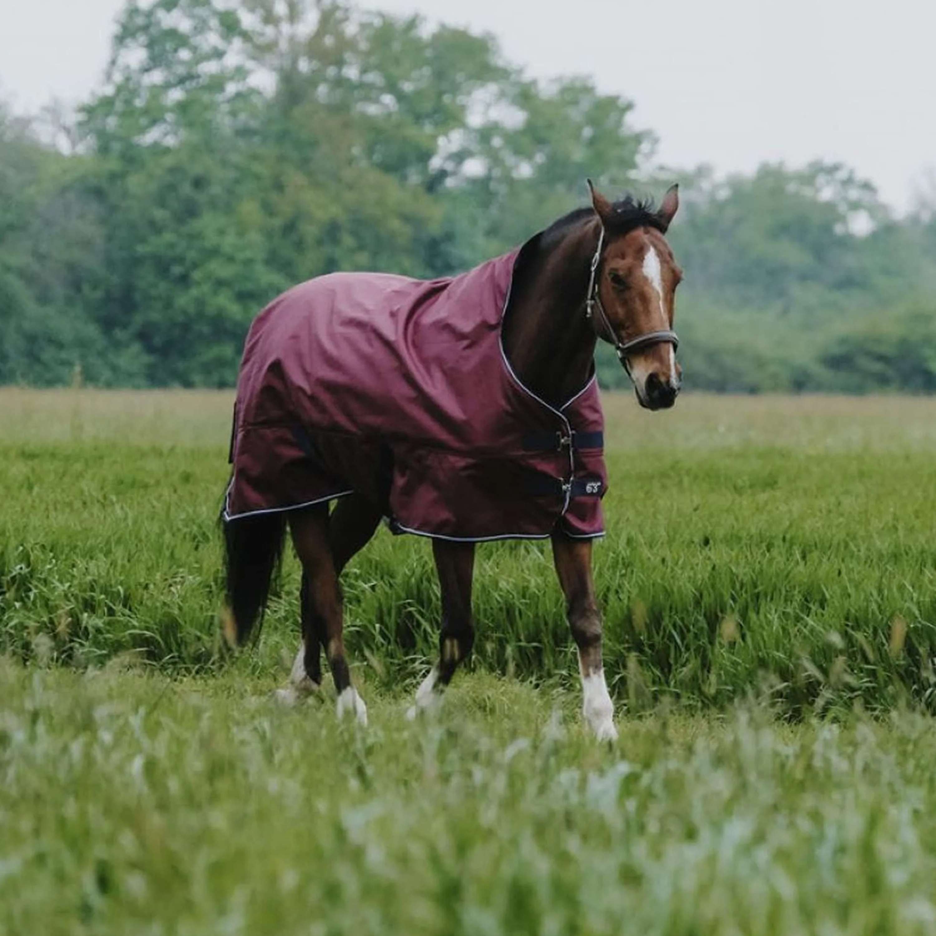 EQUITHÈME Outdoor Rug Tyrex 1200D 0g High Neck Burgundy