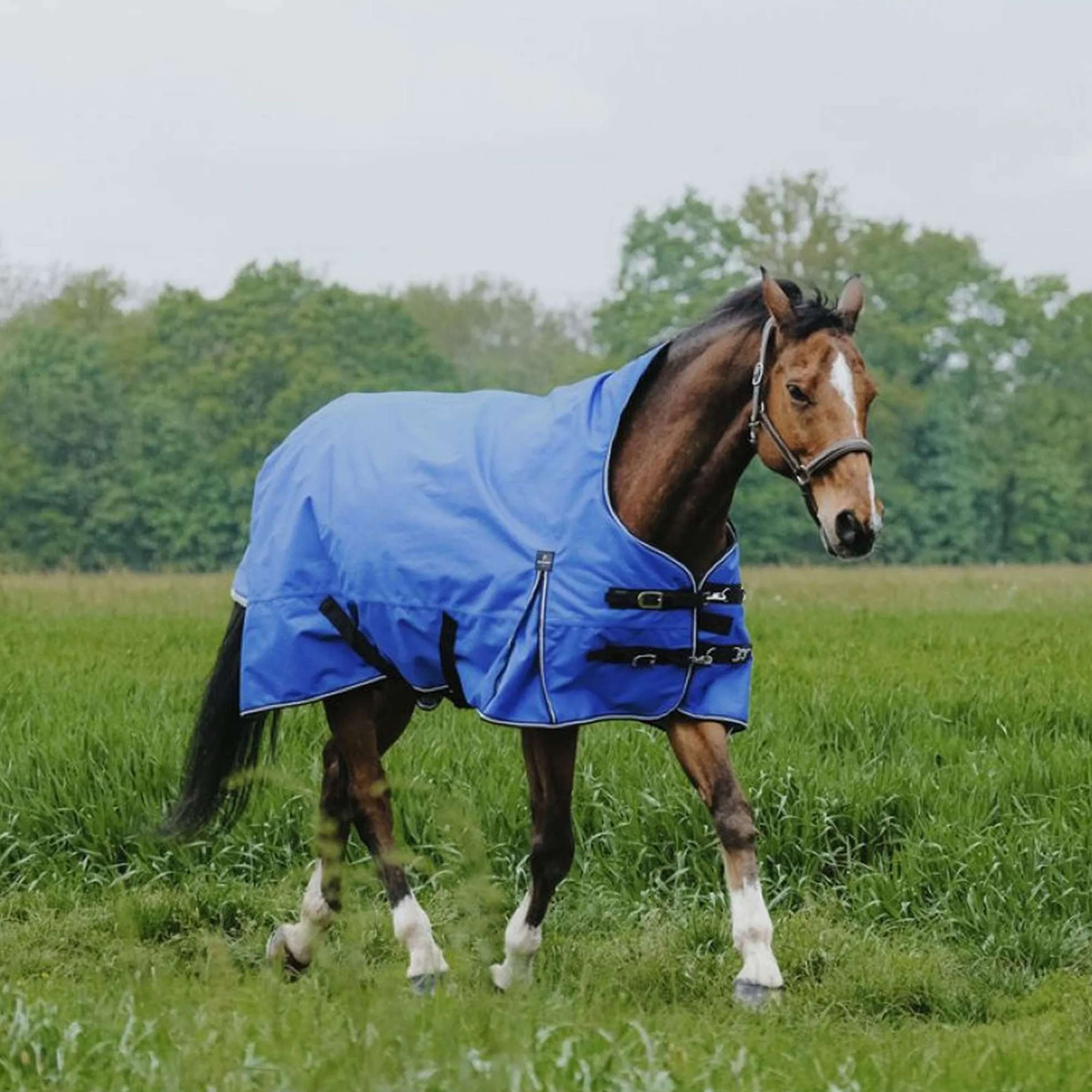 EQUITHÈME Outdoor Rug Tyrex 1200D 300g Aisance High Neck Royal Blue