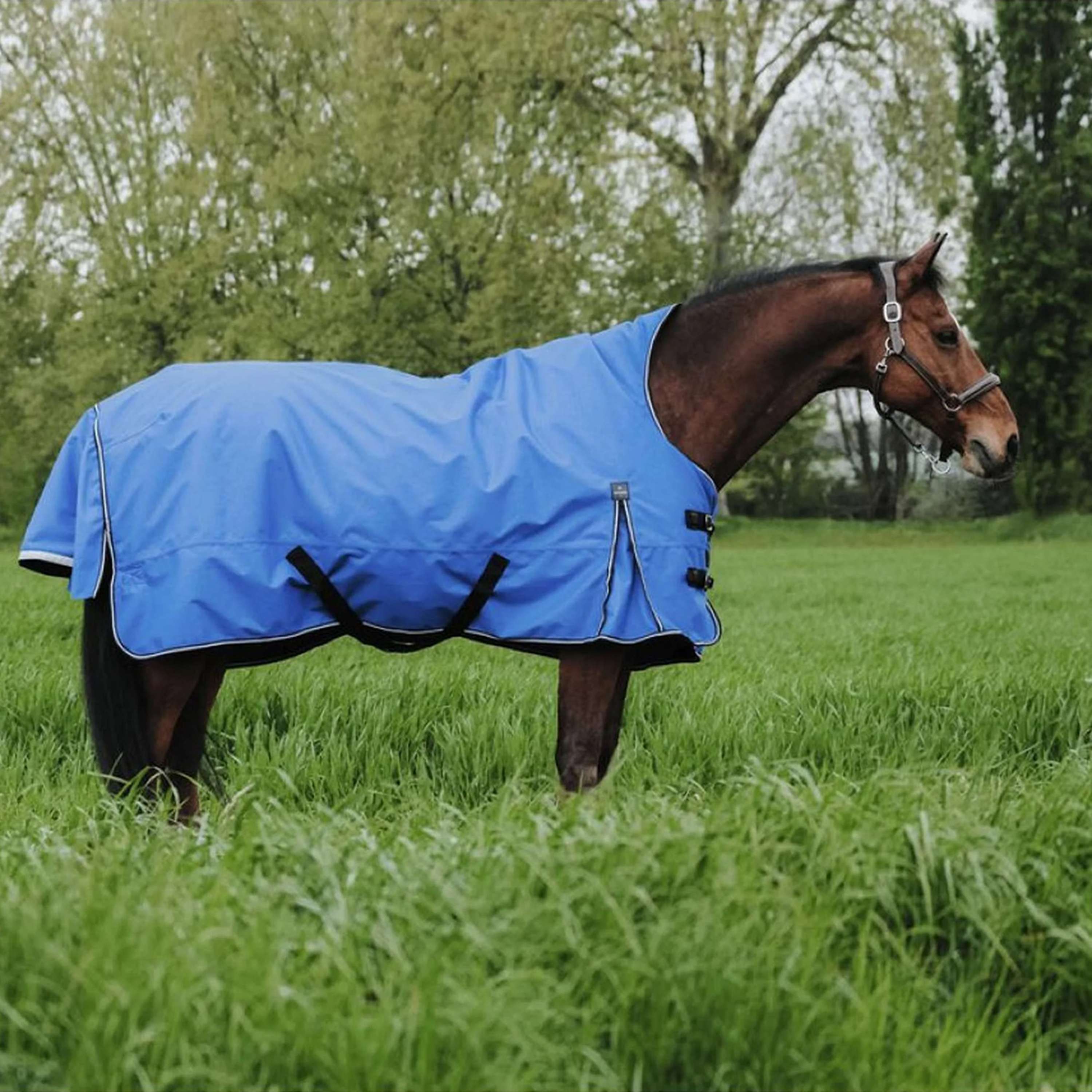 EQUITHÈME Outdoor Rug Tyrex 1200D 300g Aisance High Neck Royal Blue