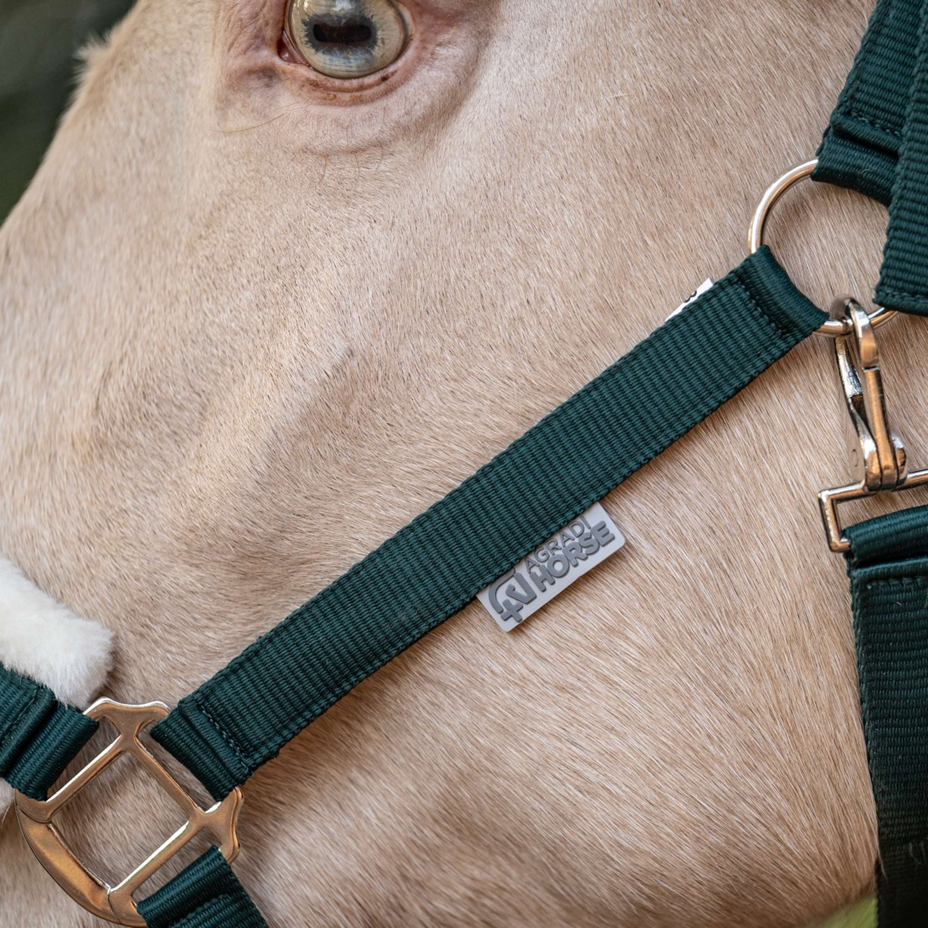 Agradi Horse Halter First Fir Green