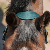 Agradi Horse Halter Athletic Fir Green