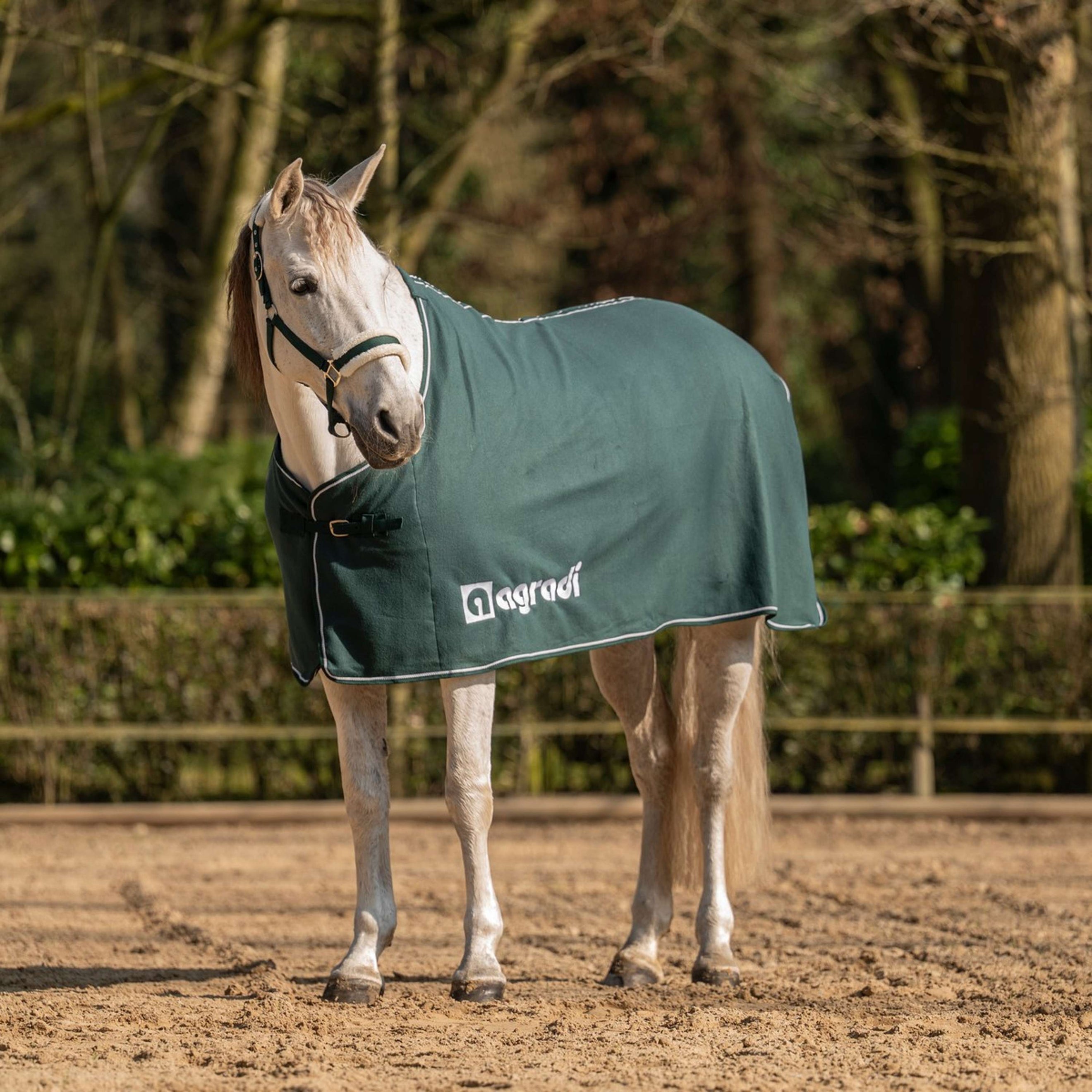 Agradi Horse Fleece Rug Economic Fir Green
