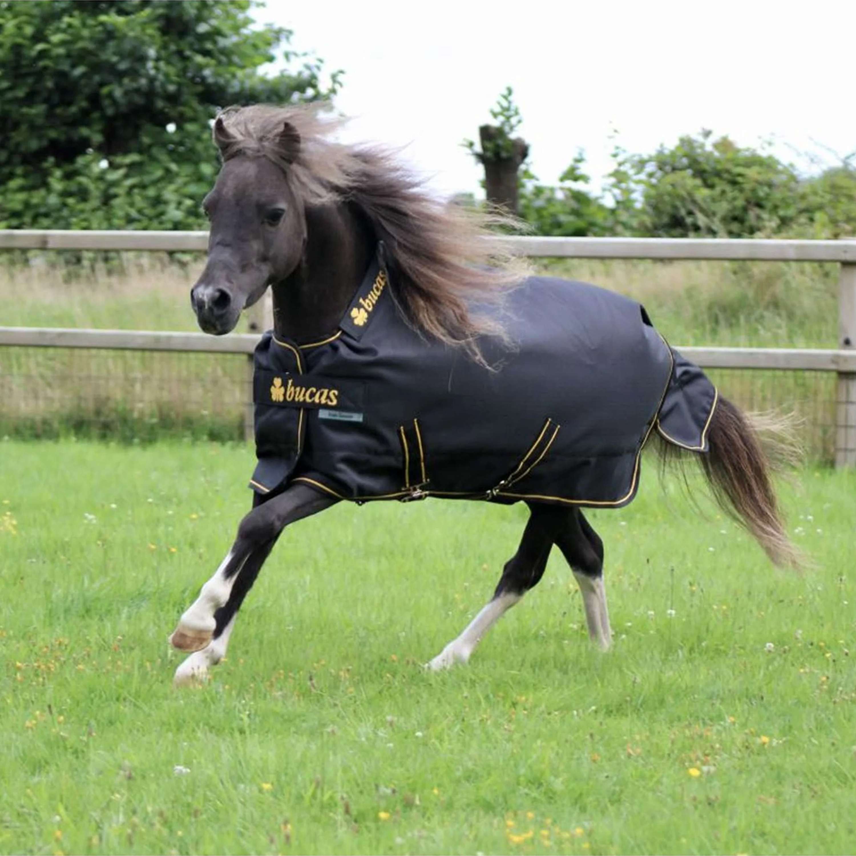 Bucas Irish Turnout 100g Black/Gold